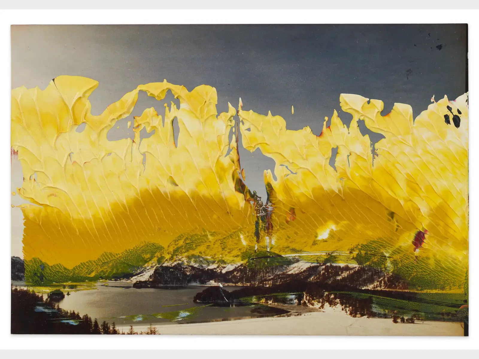 Gerhard Richter Sils 直筆サイン本