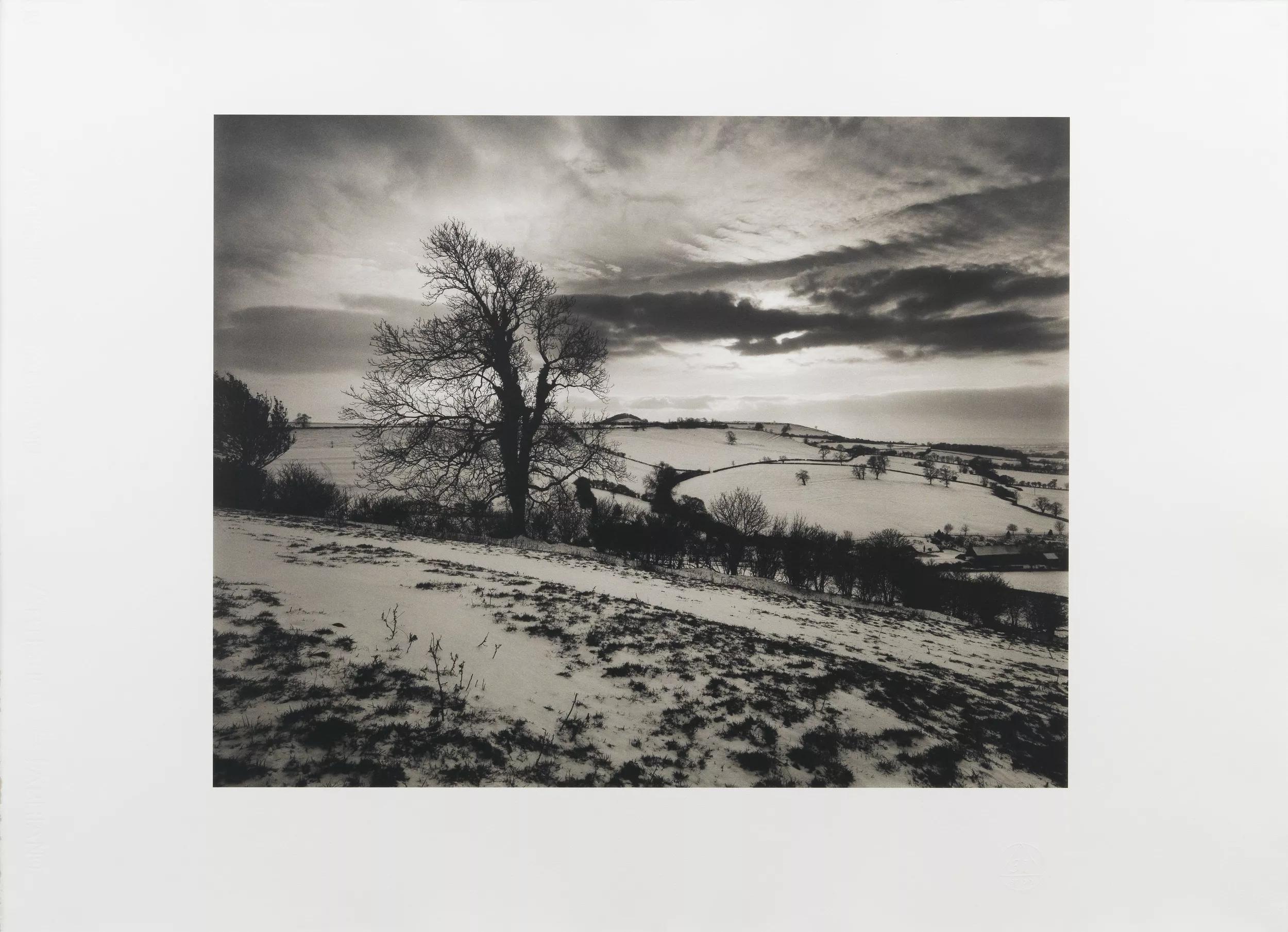 Image for exhibition titled Don McCullin