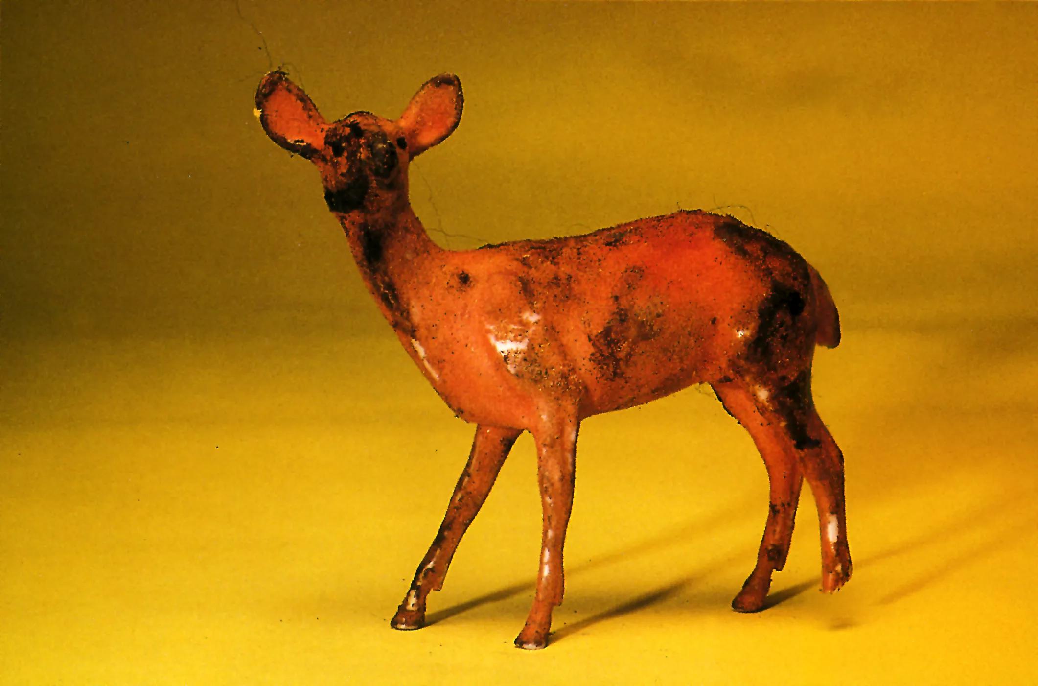 Image for exhibition 