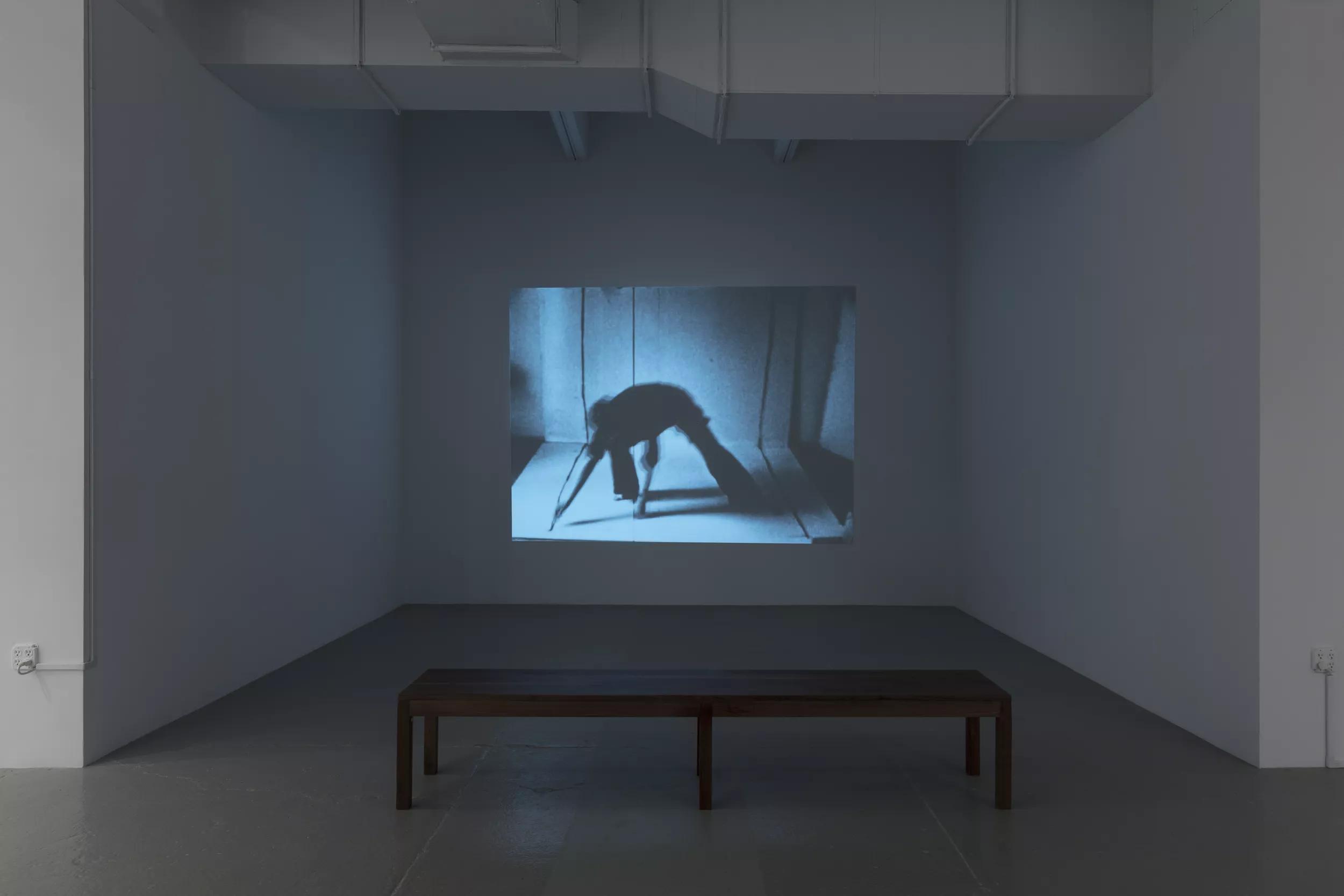Image for Geta Brătescu