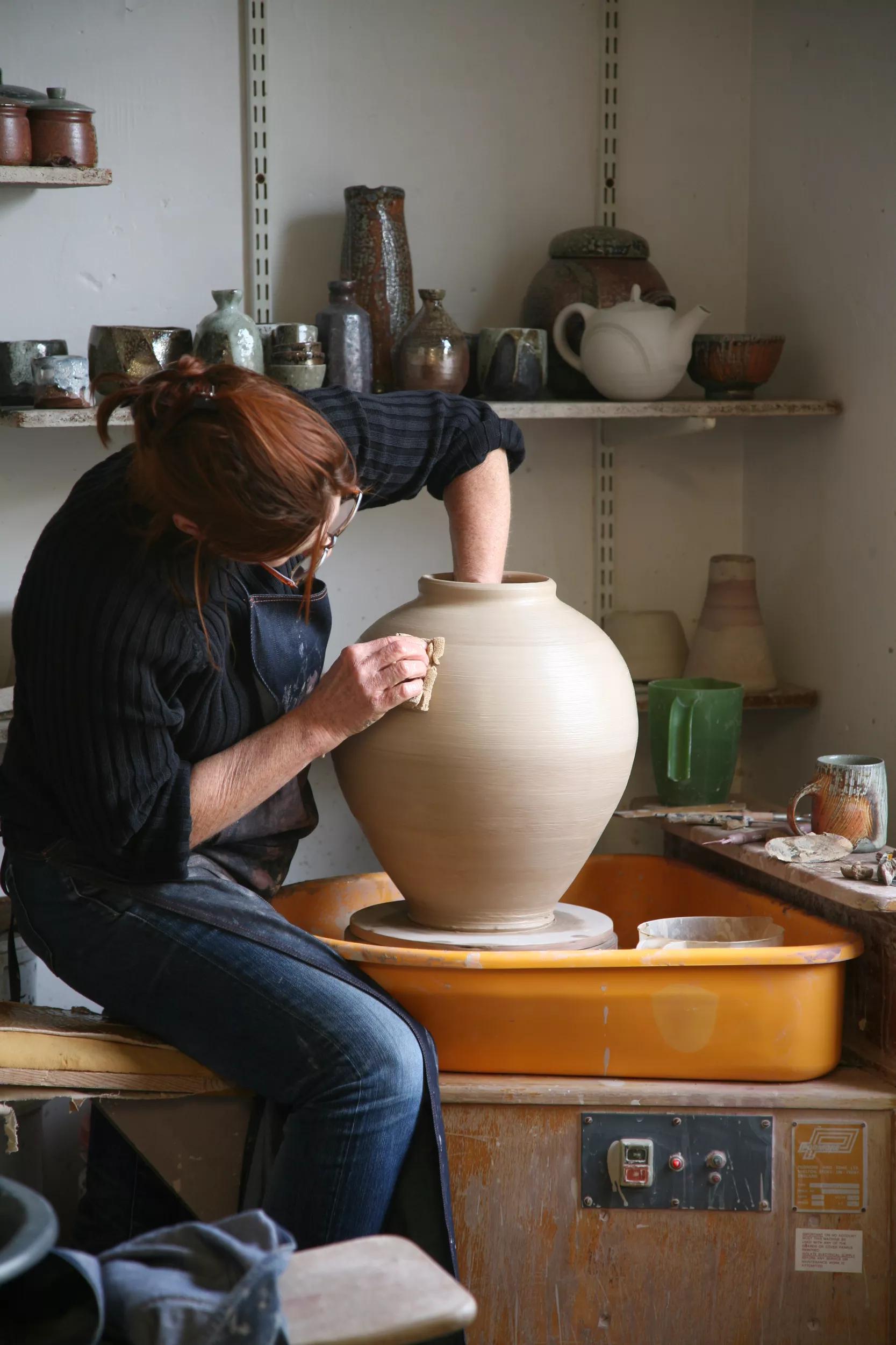 Image for Lisa Hammond: Future Perfect