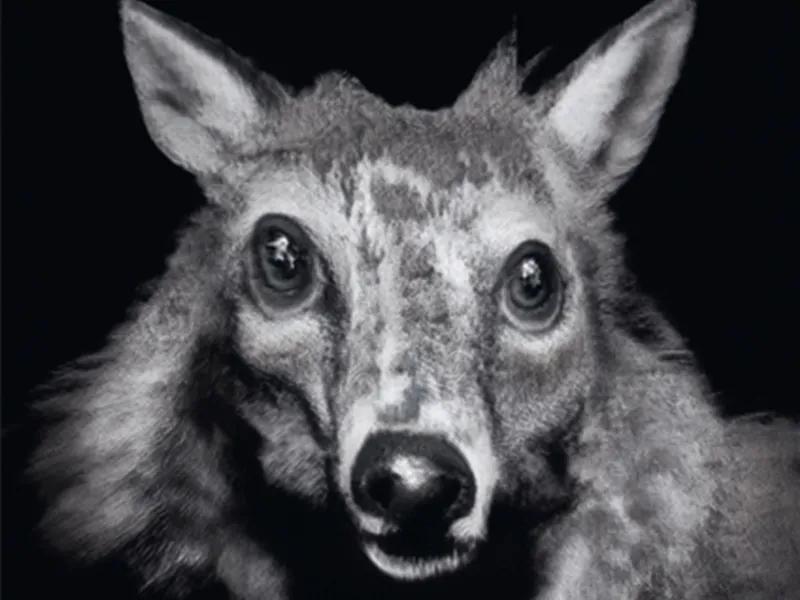 Hero image Ursula Hero titled Fable