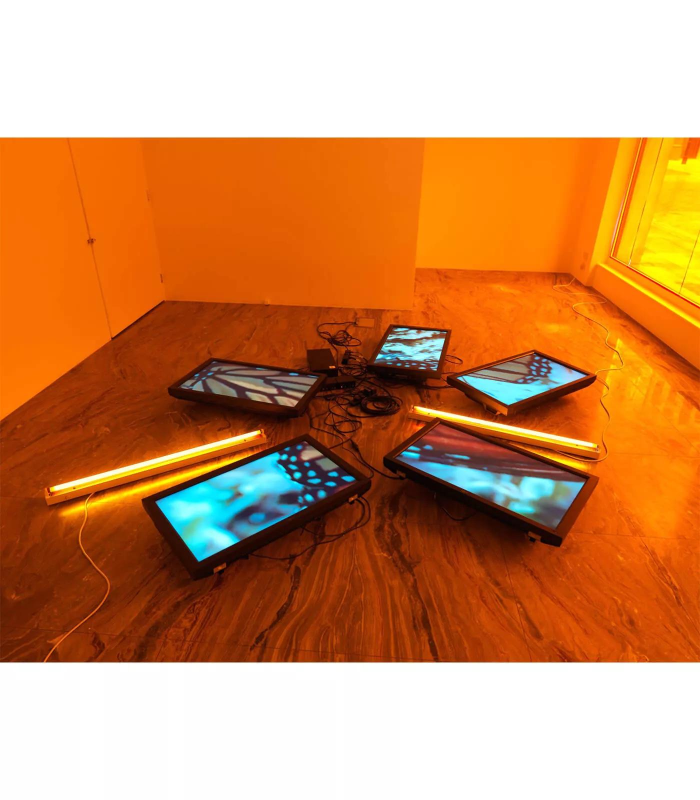 Image for exhibition 