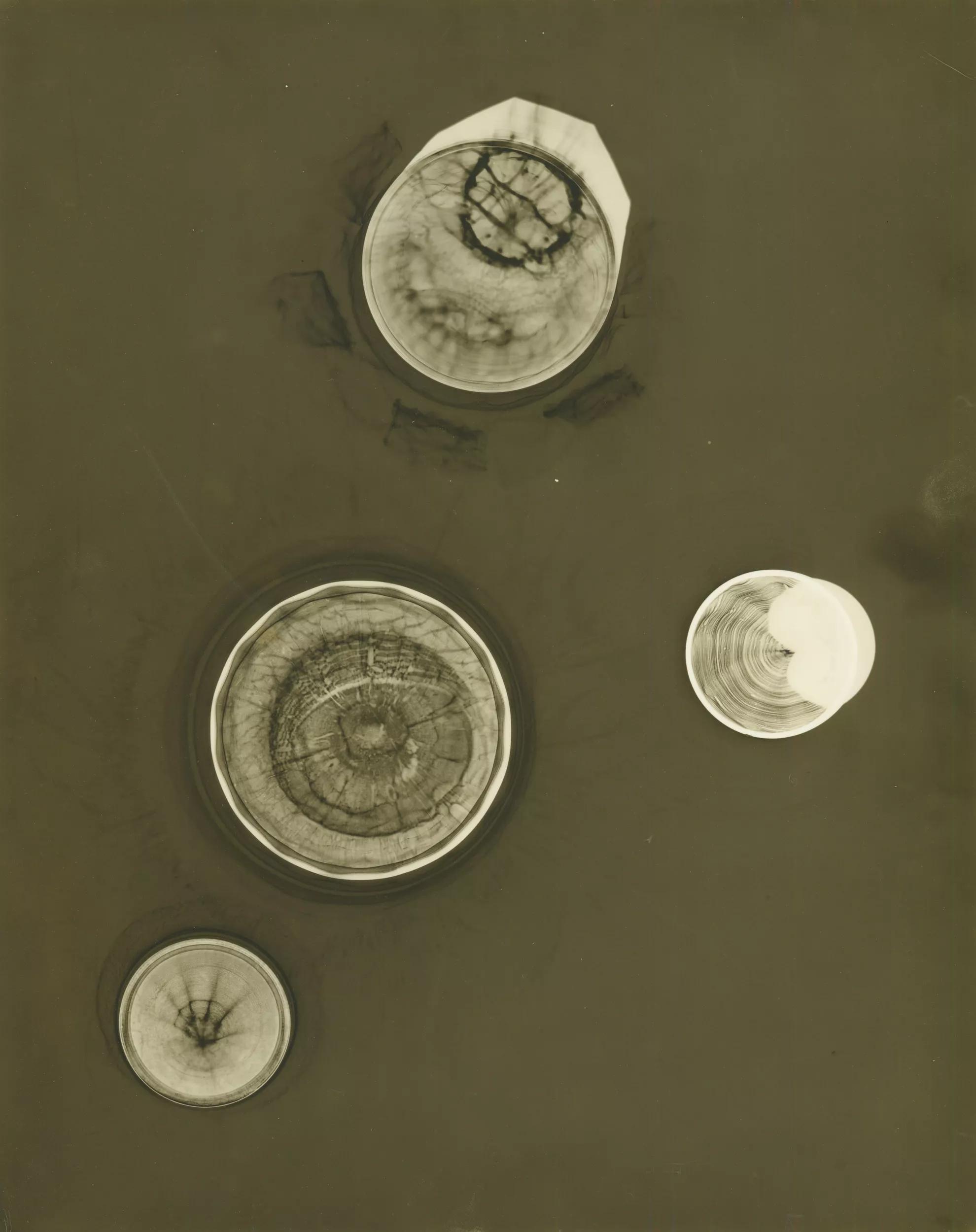 Image for exhibition 