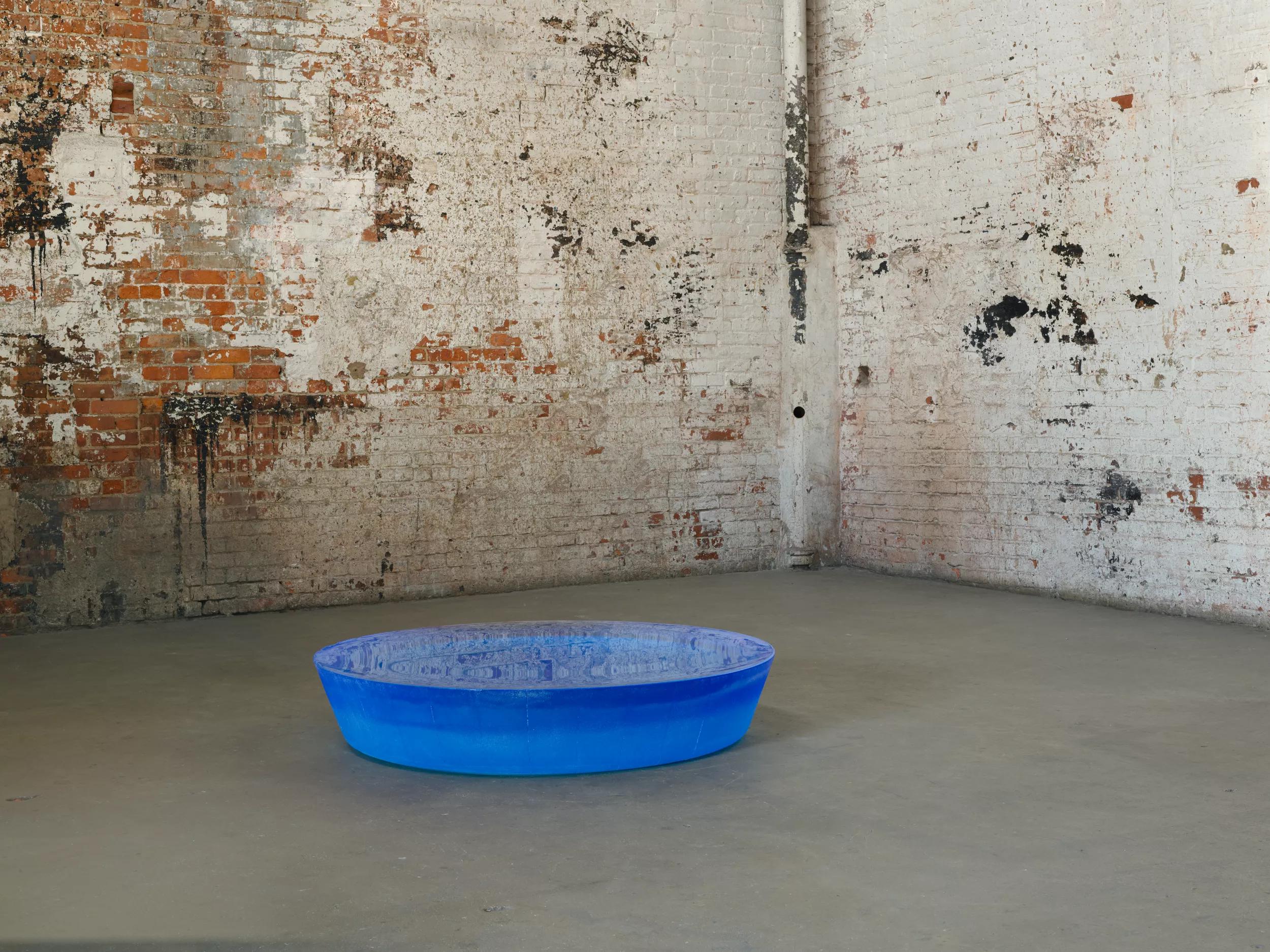 Image for exhibition titled Roni Horn