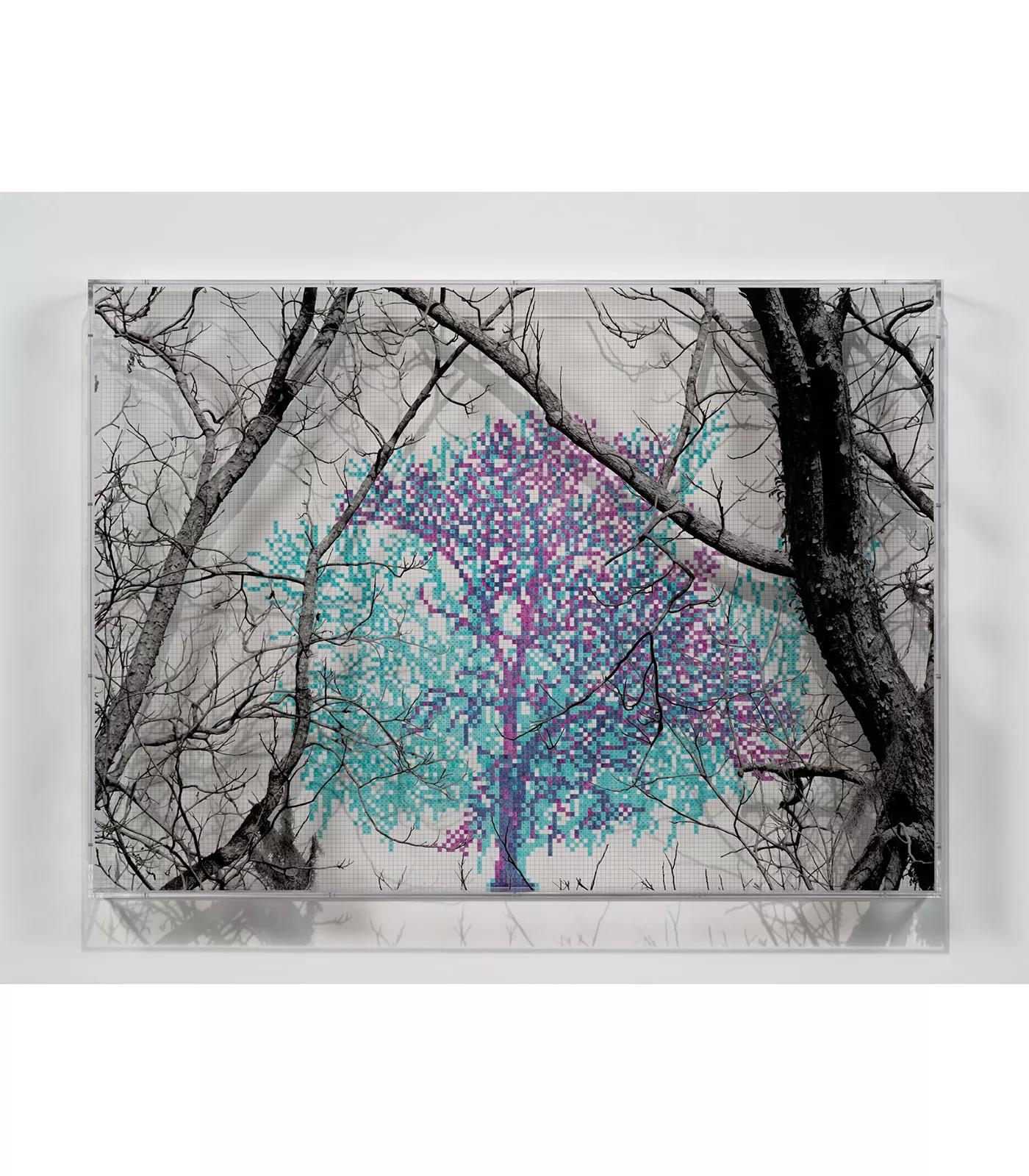 Image for exhibition titled Charles Gaines