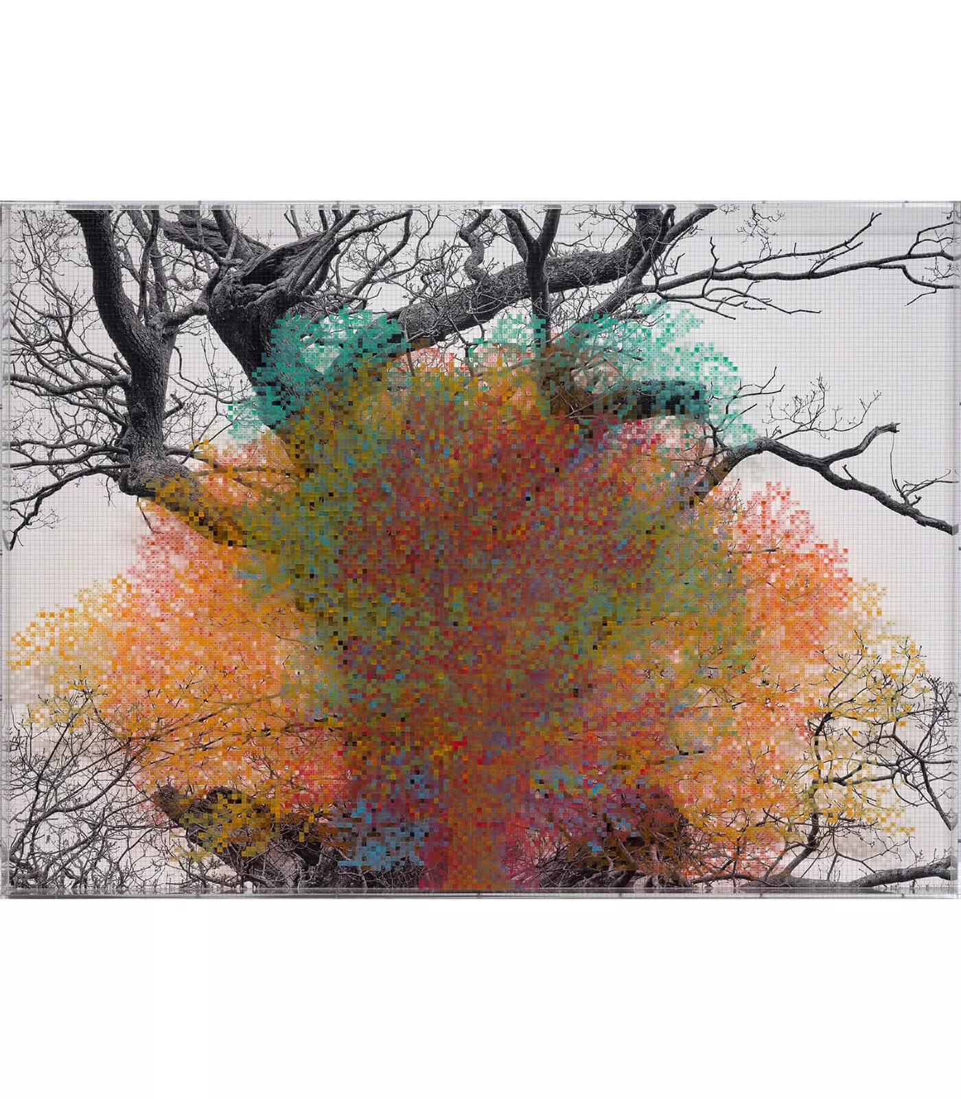 Image for exhibition titled Charles Gaines