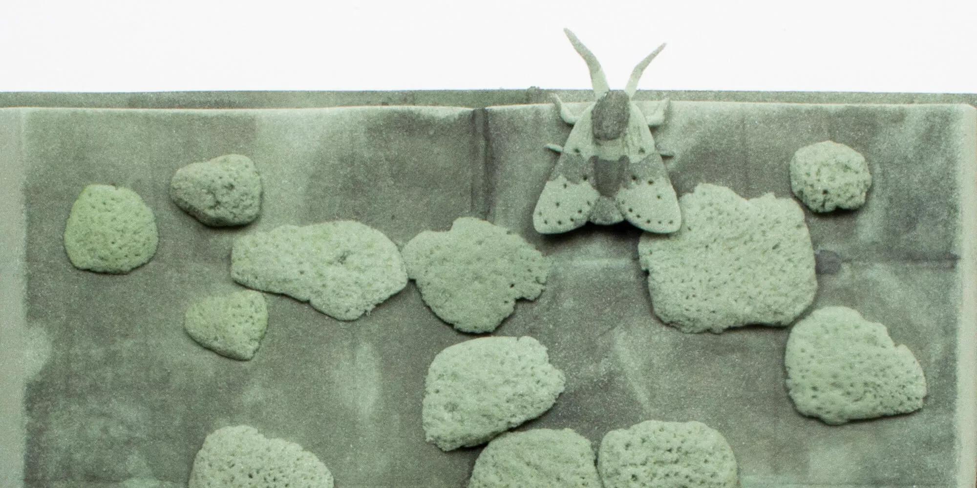 Hero image for exhibition titled Jenna Beasley