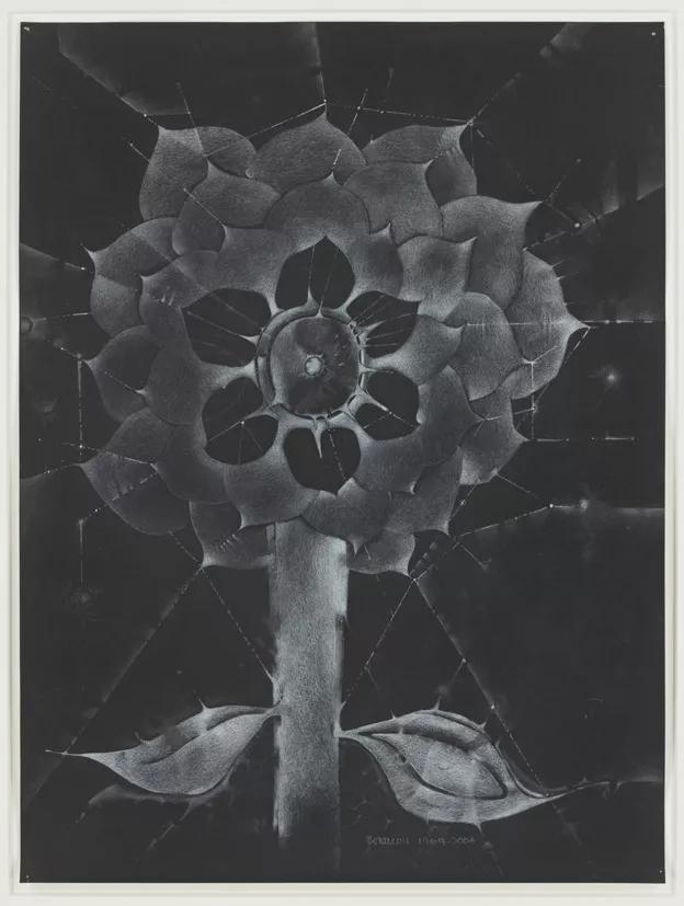 Image for exhibition 