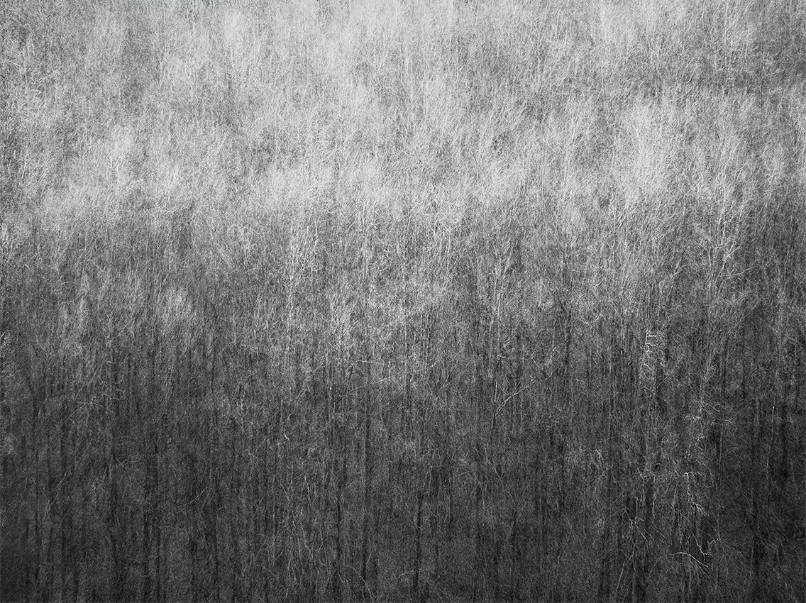Image for exhibition 
