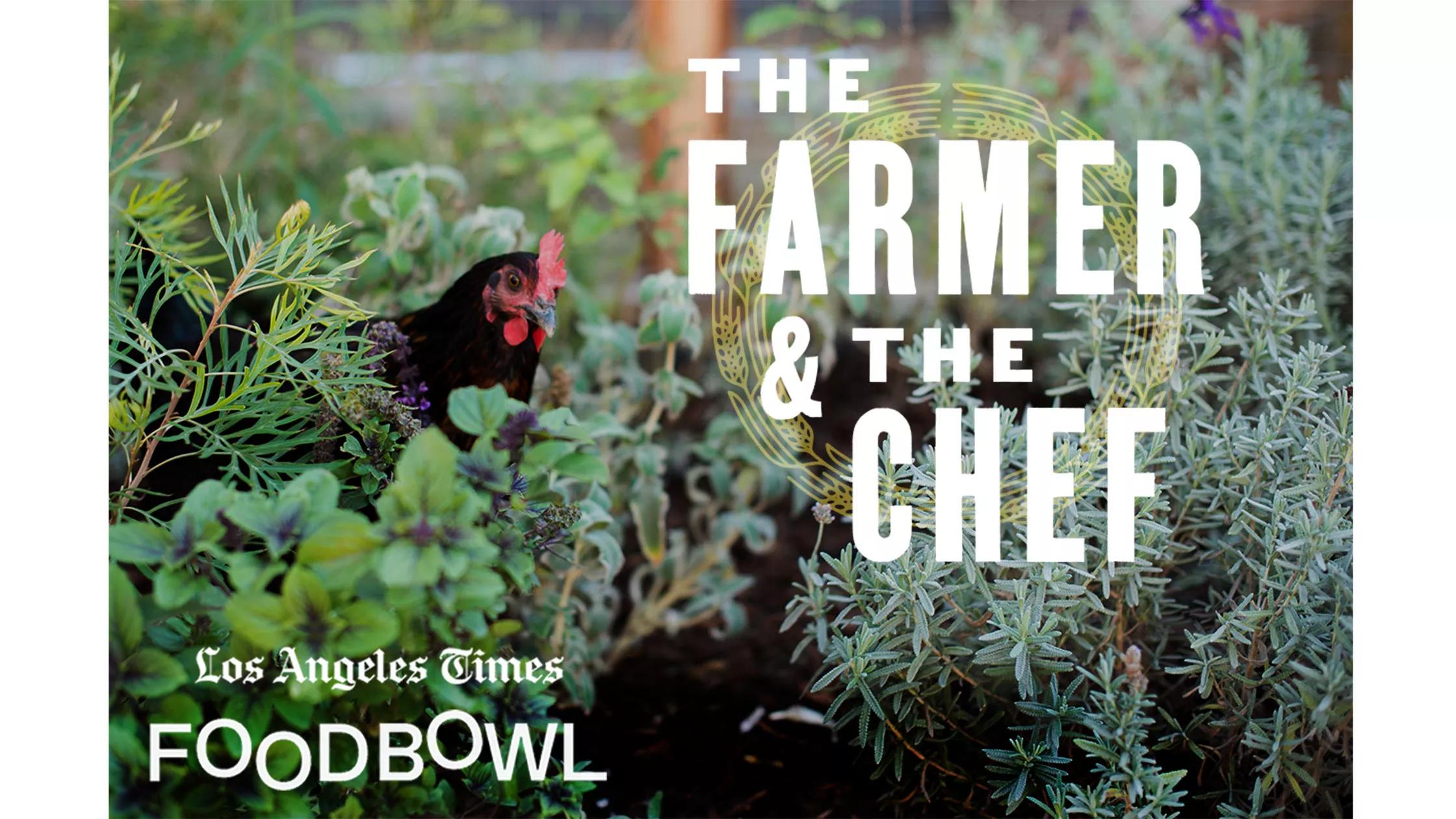 Hero image for event titled The Farmer and The Chef Festival