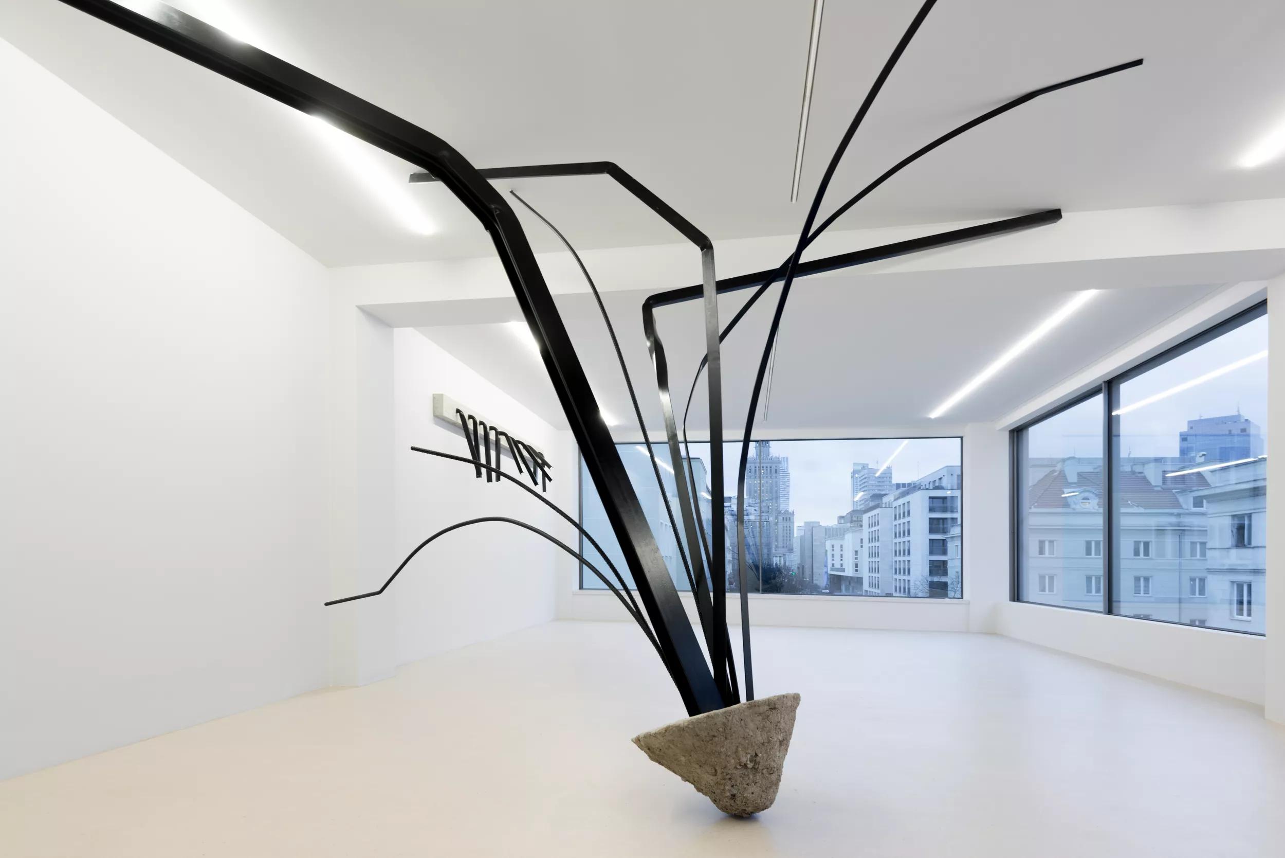 Image for Monika Sosnowska