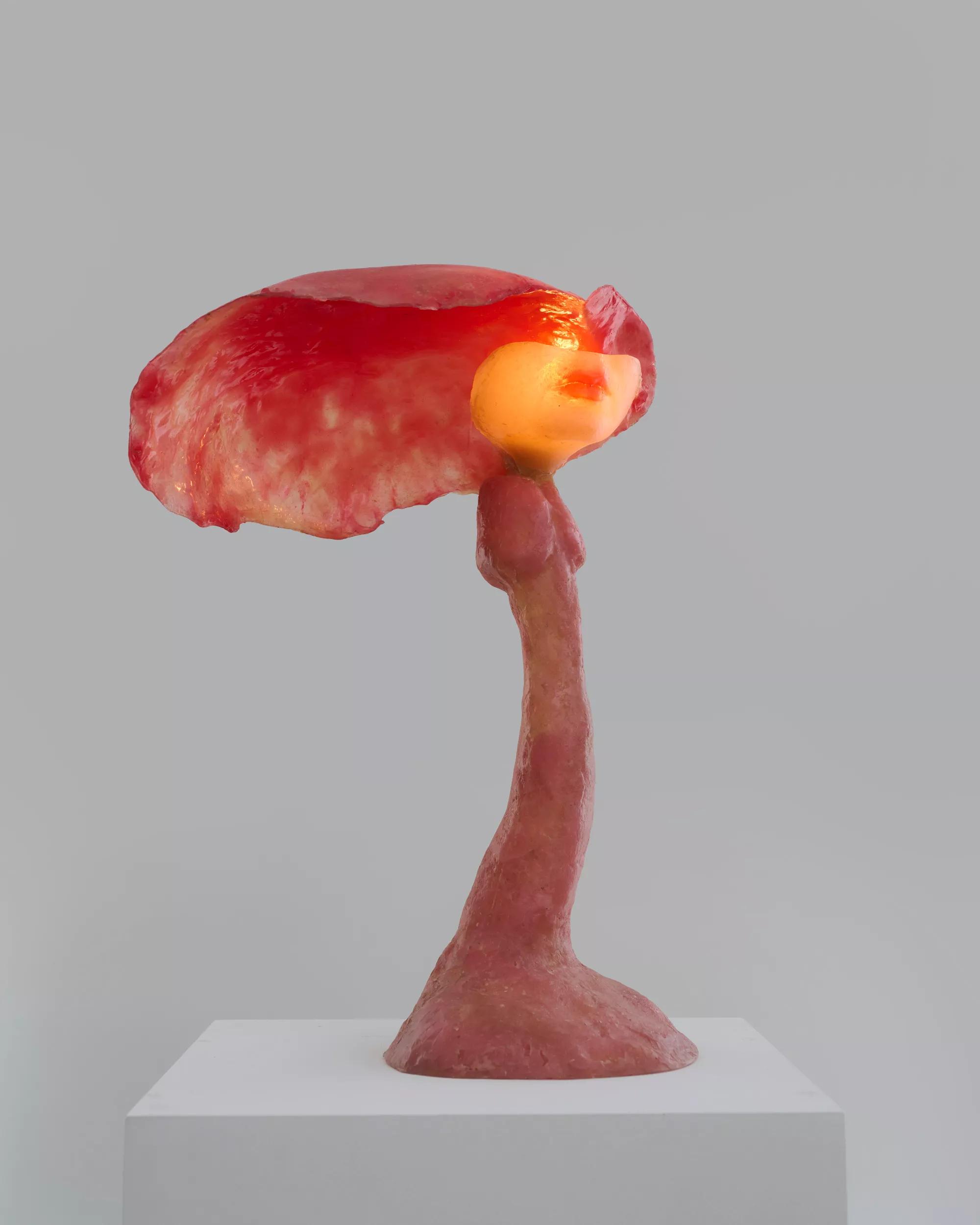 Image 1 of 8