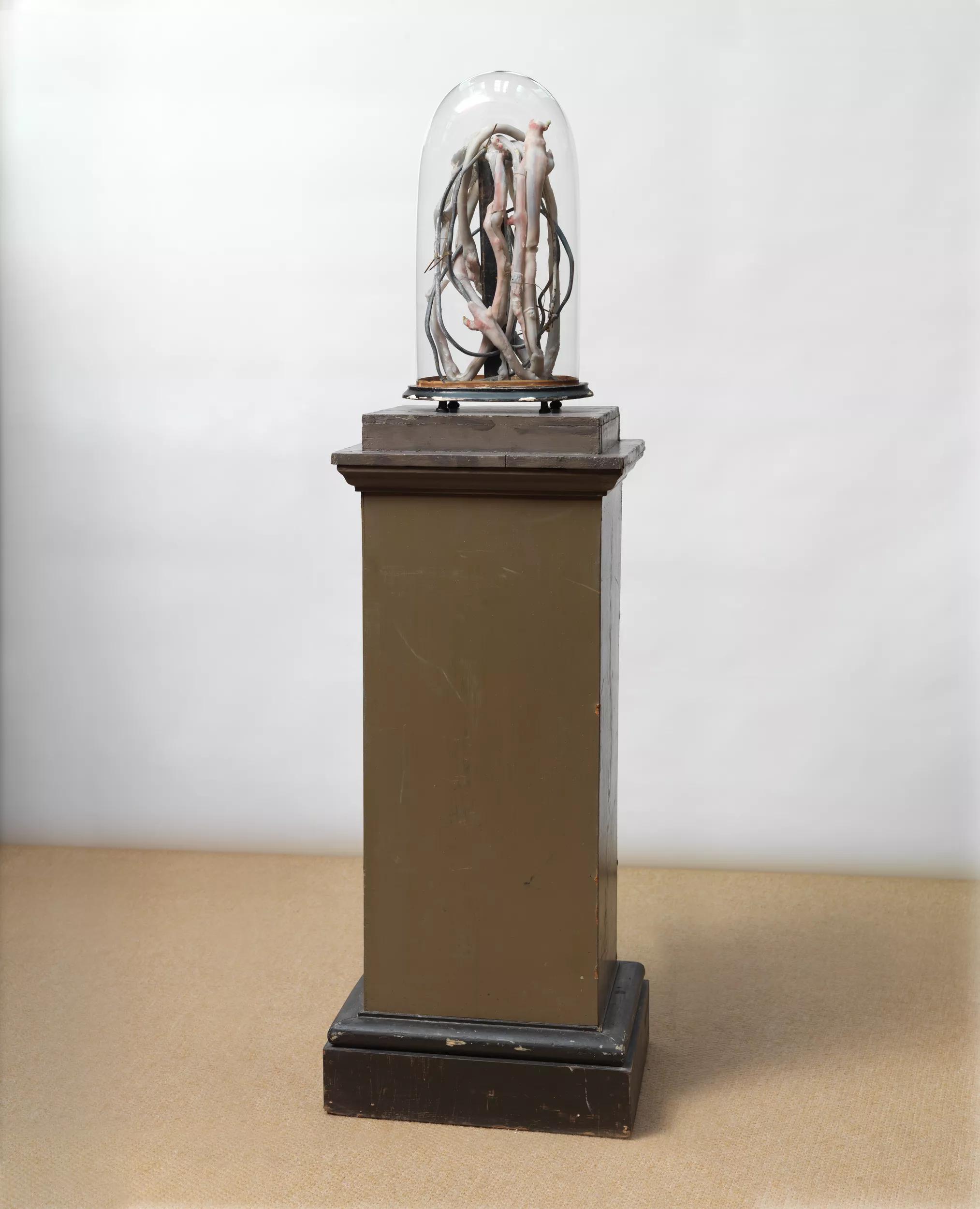 Image for exhibition 