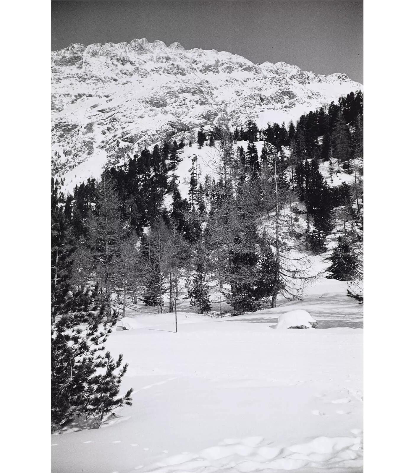 Image for exhibition titled Günther Förg