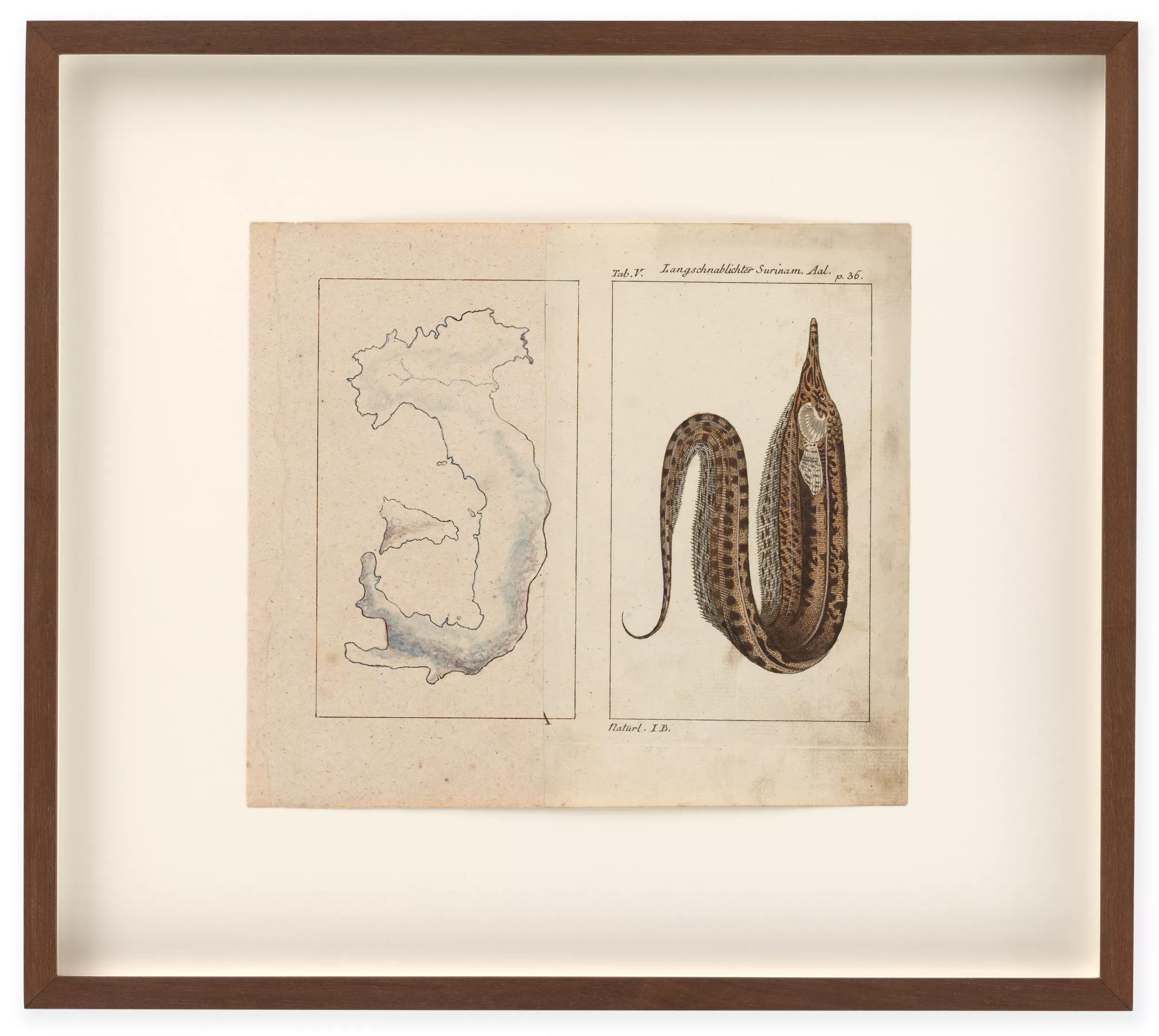 Image for exhibition 