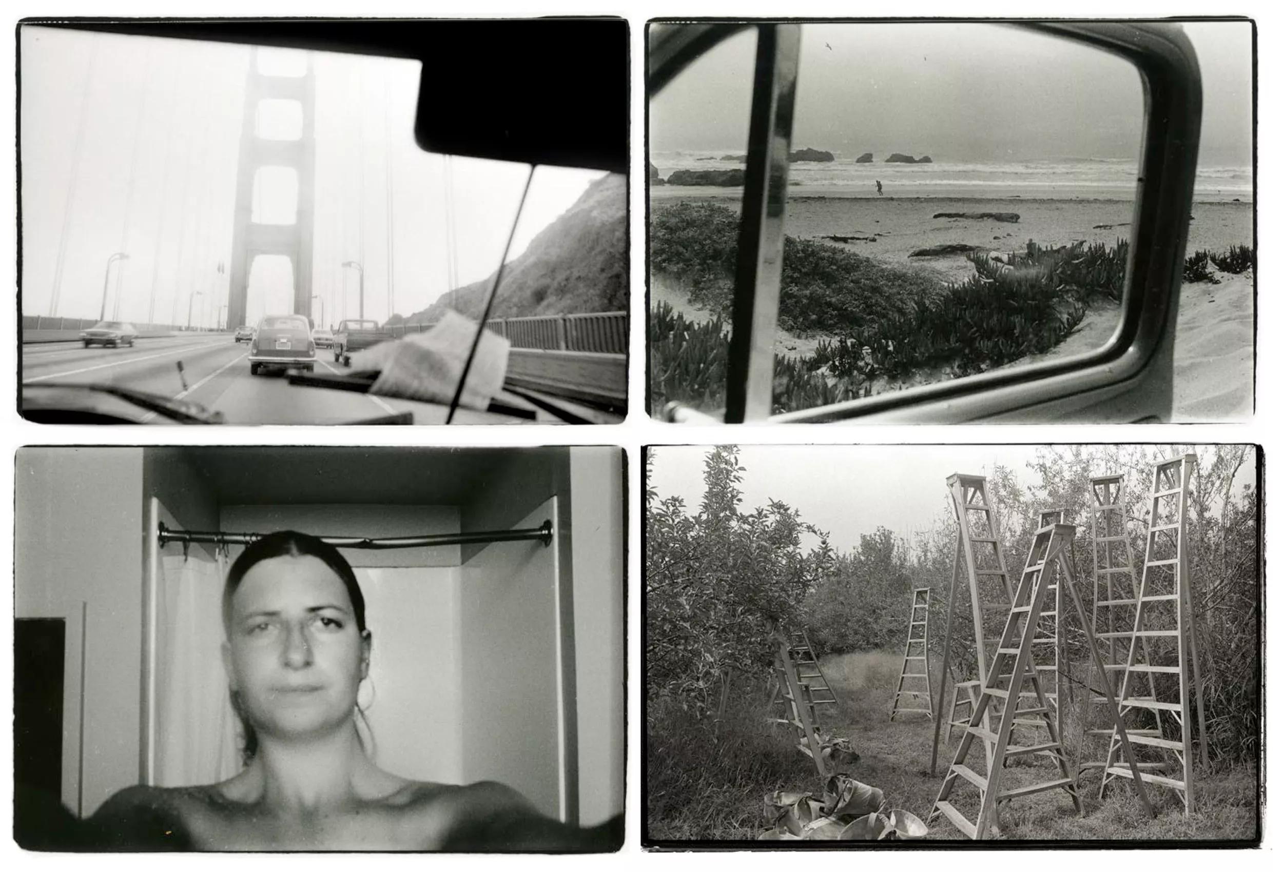 Image for Annie Leibovitz