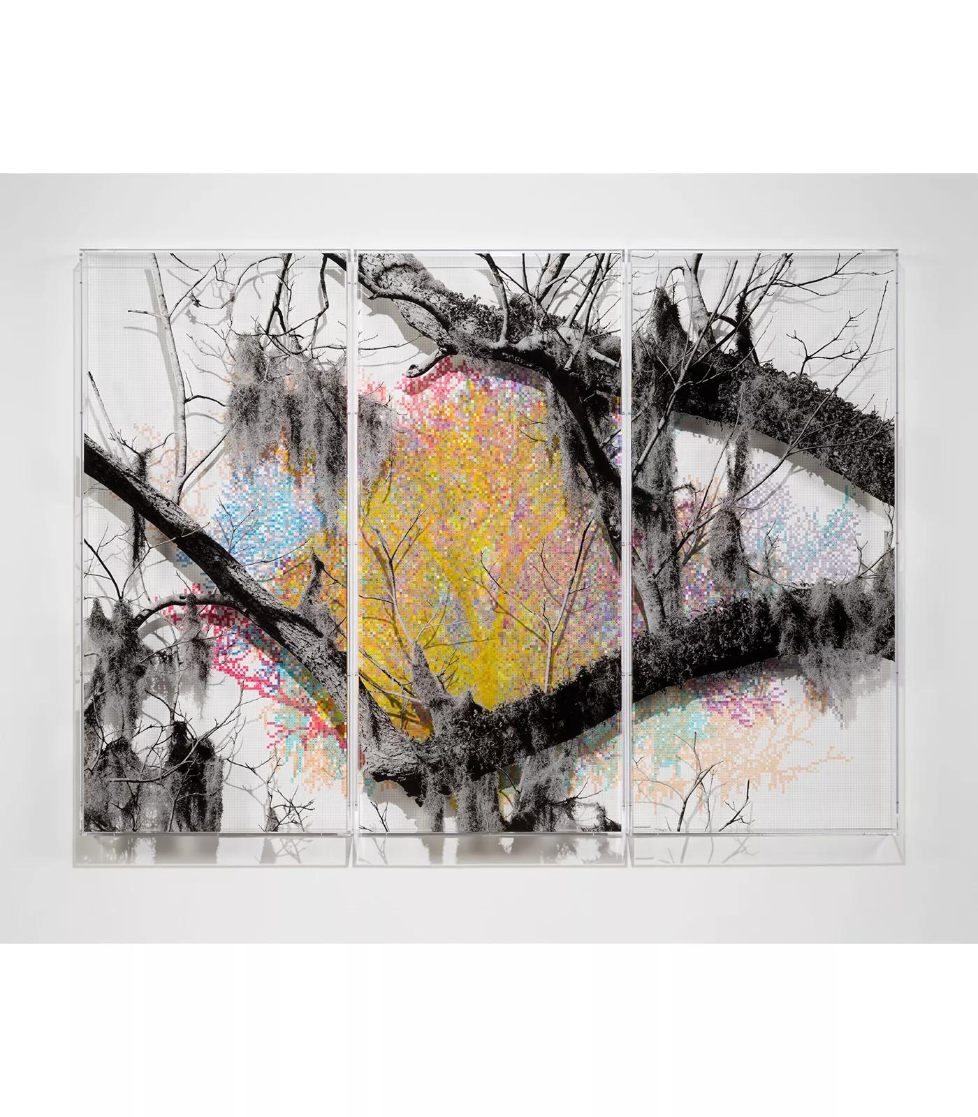 Image for exhibition titled Charles Gaines