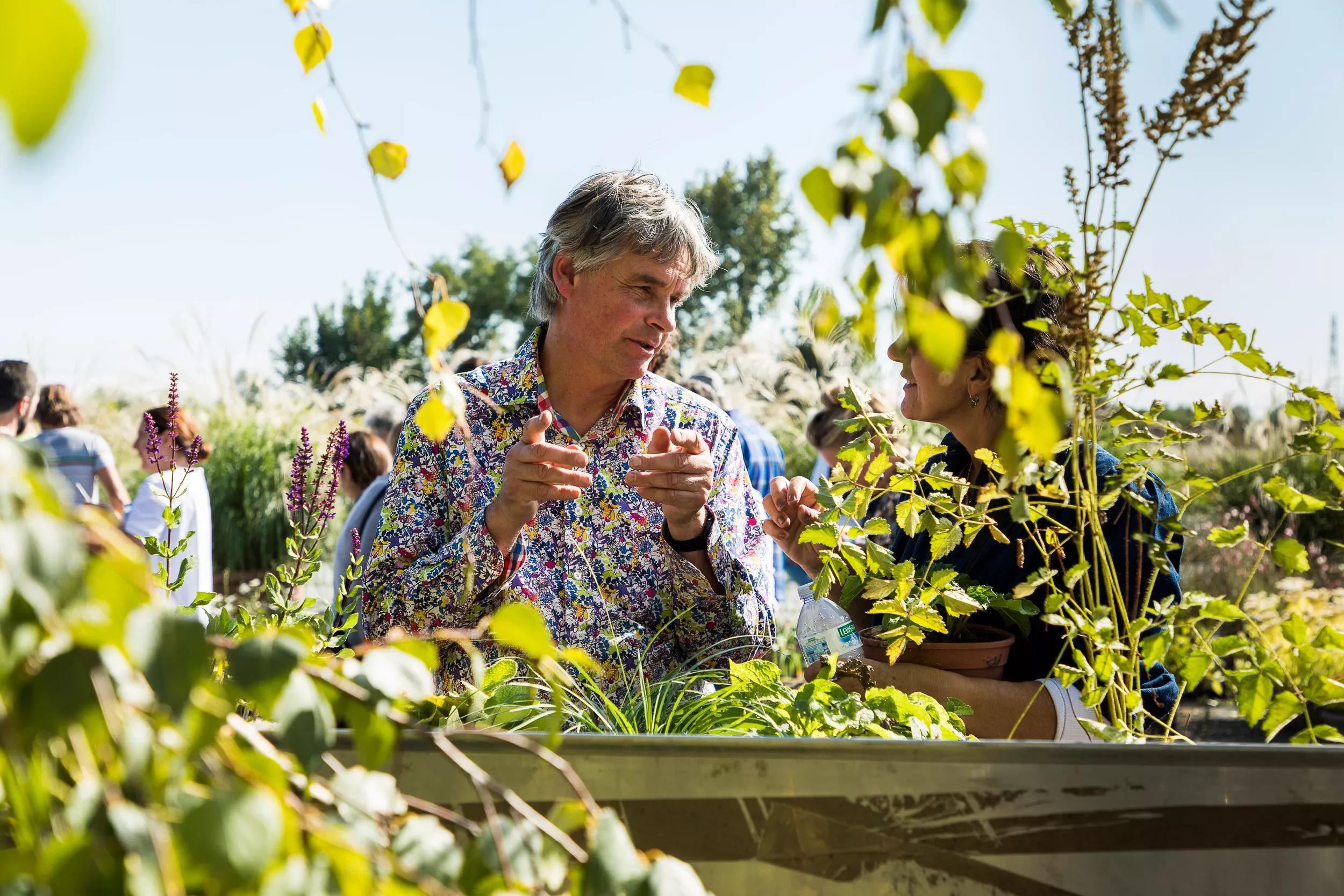 Hero image for event titled Planting Design: A Workshop with Noel Kingsbury