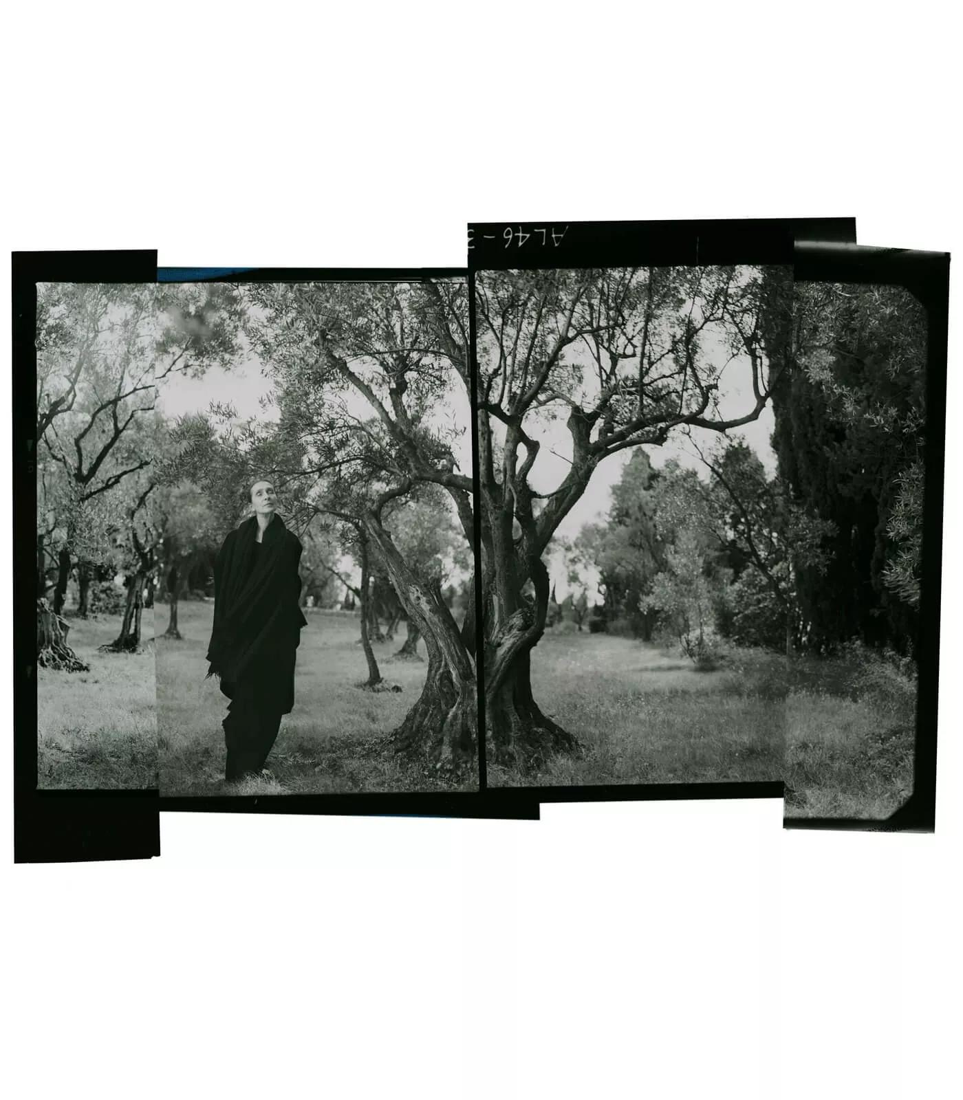 Image for exhibition titled Annie Leibovitz