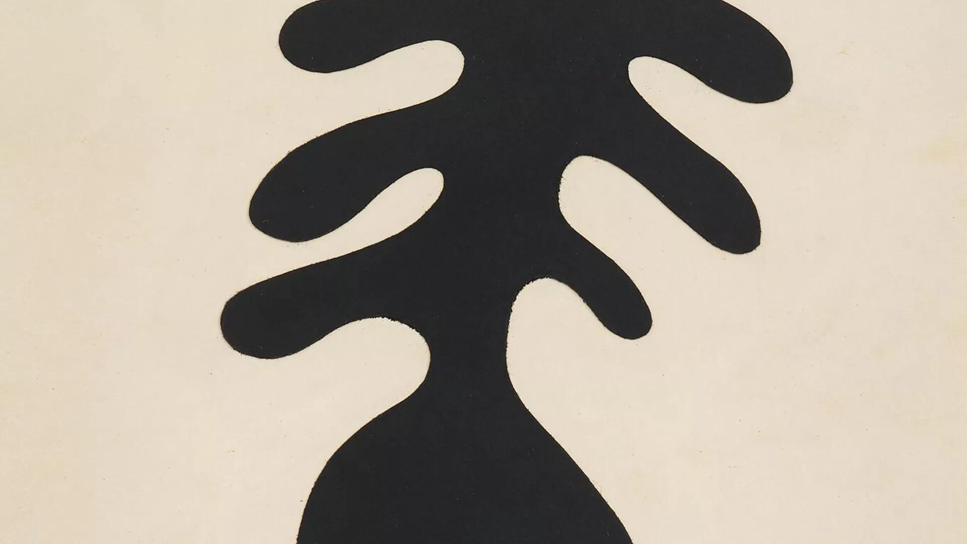Image for exhibition 