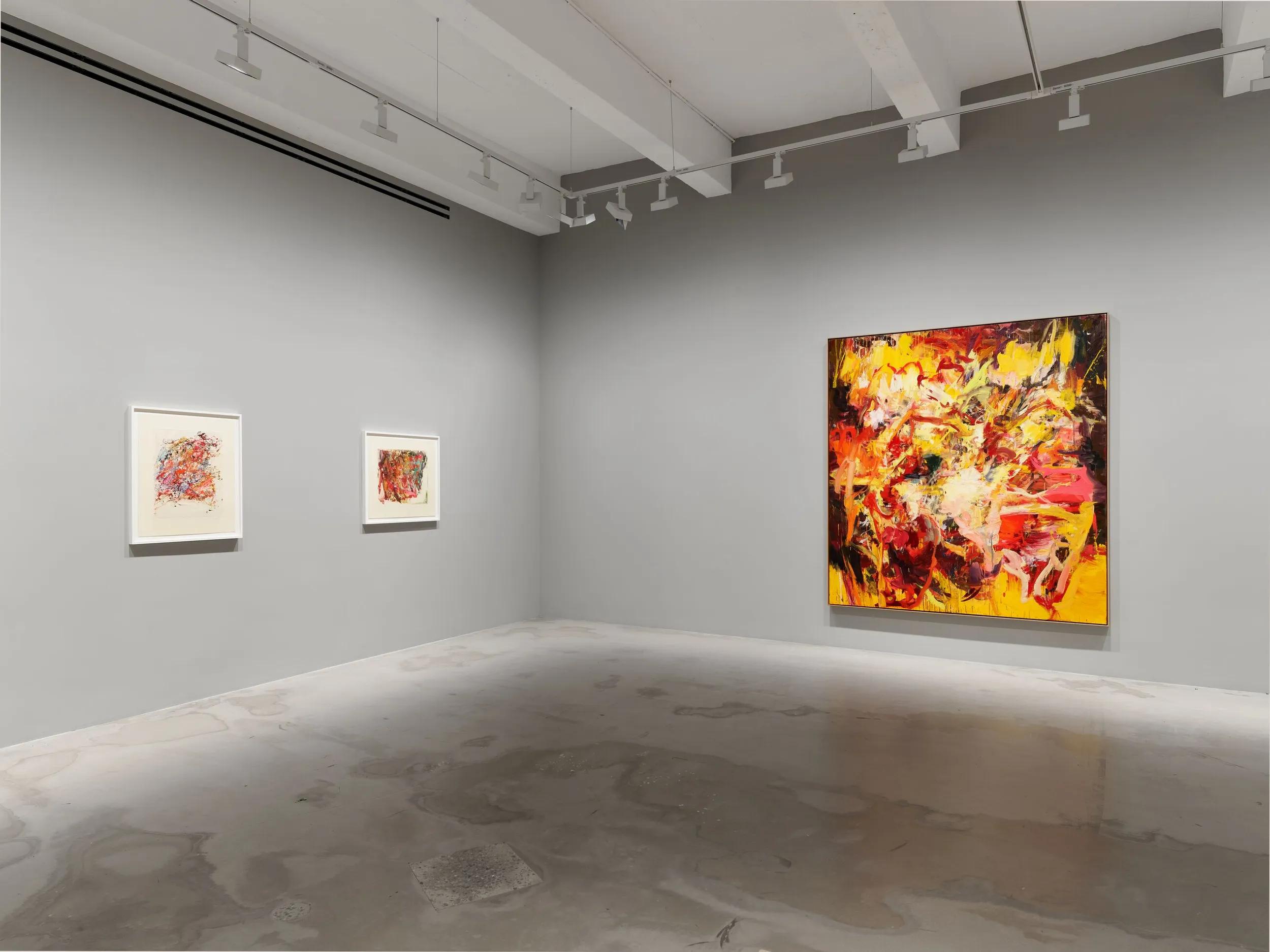 Installation view image for Installation Views