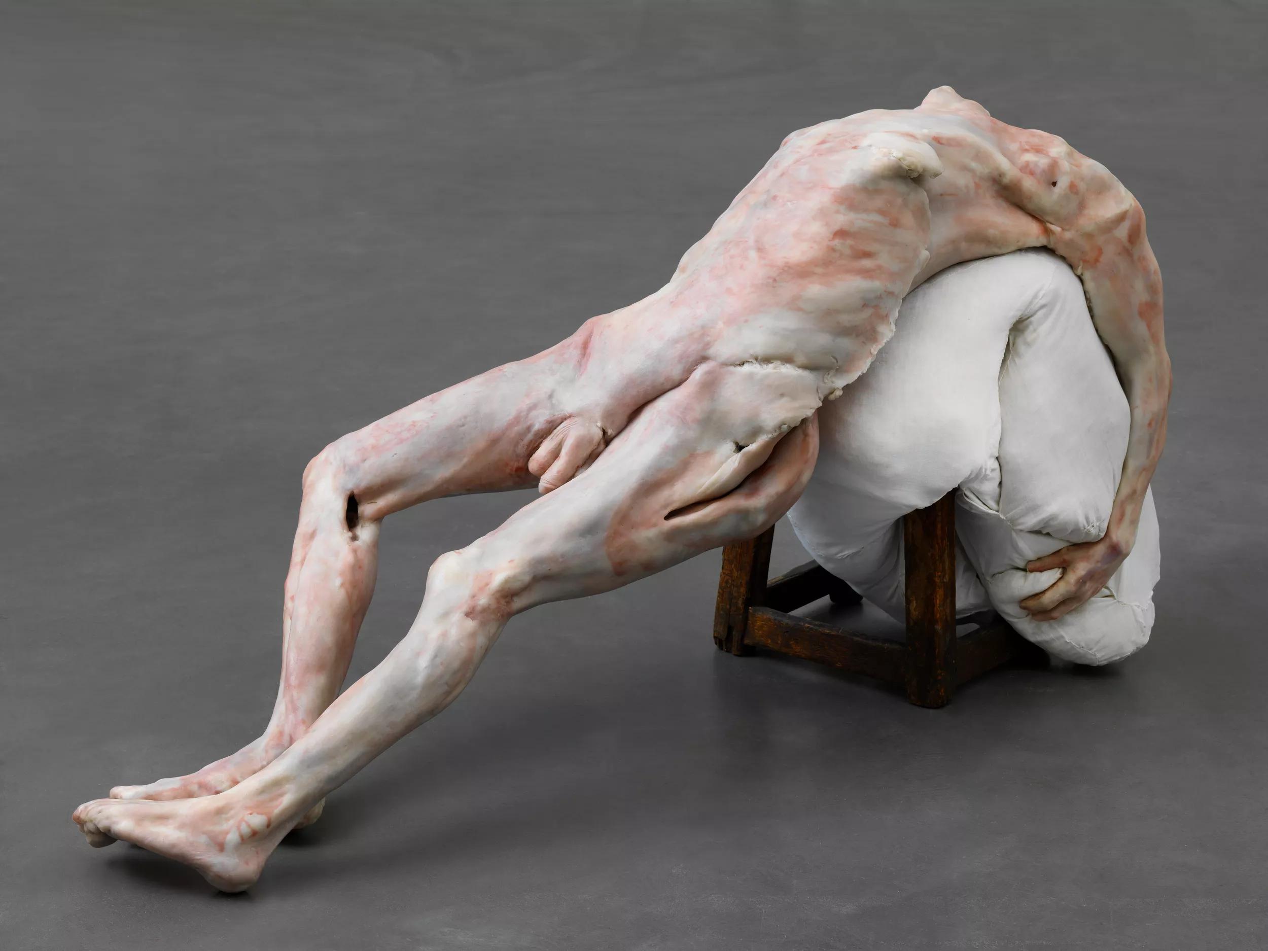 Image for exhibition titled Berlinde  De Bruyckere