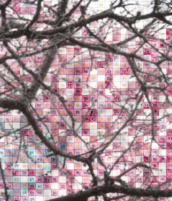 Thumbnail image for exhibition titled Numbers and Trees: London Series 2, Tree #3, Minerva Walk
