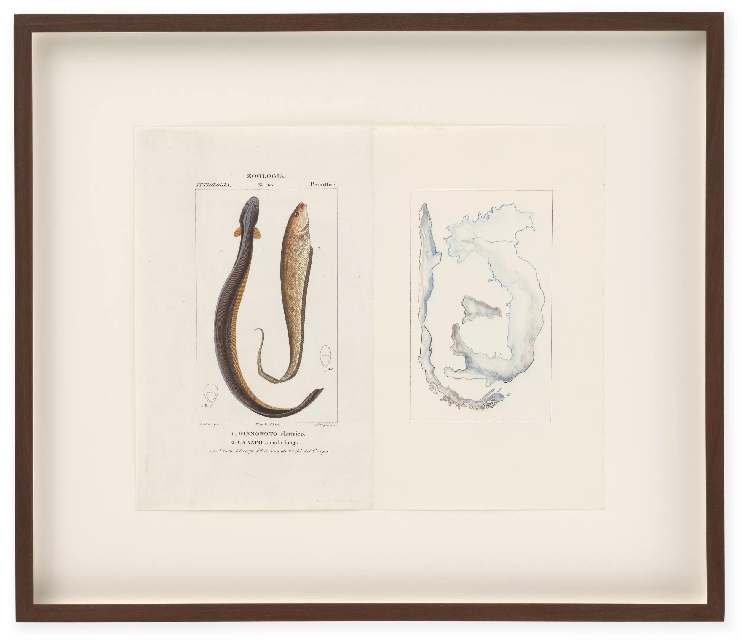 Image for exhibition 