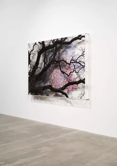 Thumbnail image for exhibition titled Numbers and Trees: London Series 2, Tree #5, Falcon Highwalk