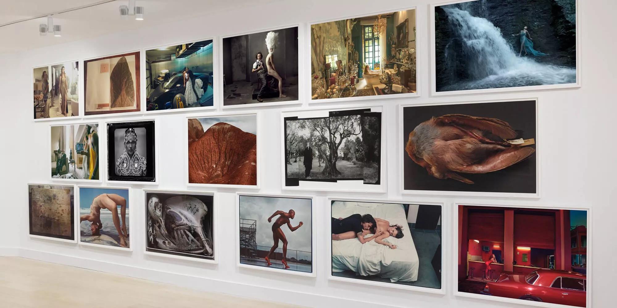 Hero image for exhibition titled Annie Leibovitz