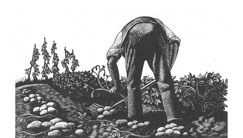 Hero image for event titled Thrifty Thursdays Three Acres and a Cow, A History of Land Rights and Protest in Folk Song and Story
