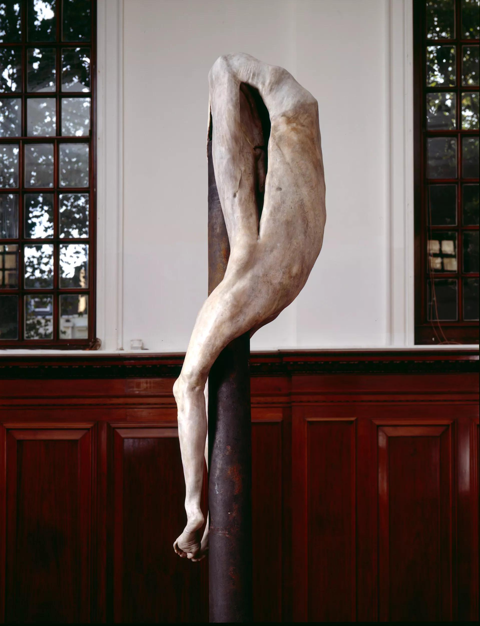 Image for exhibition 