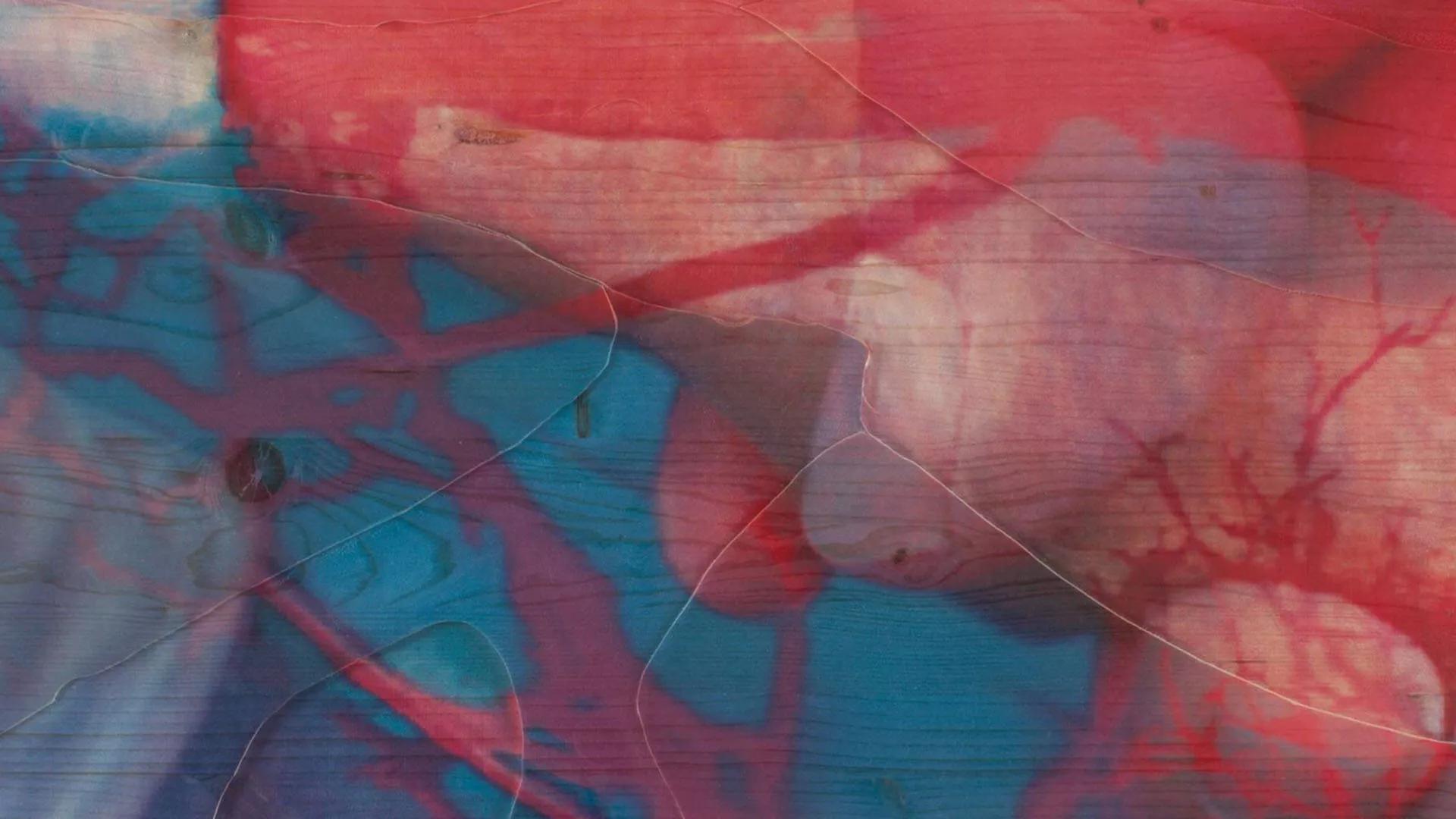 Image for exhibition 