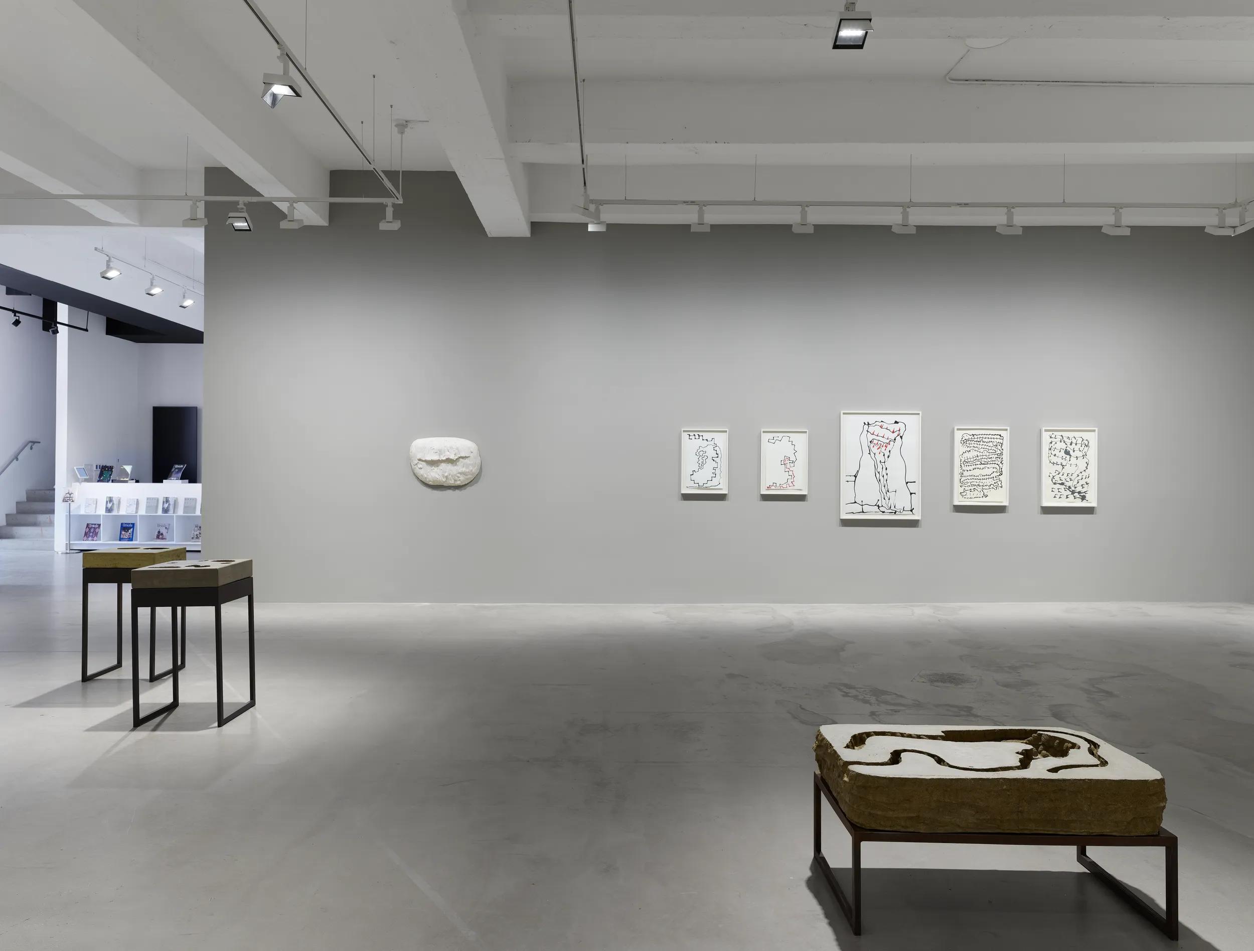 Installation view image for Installation Views