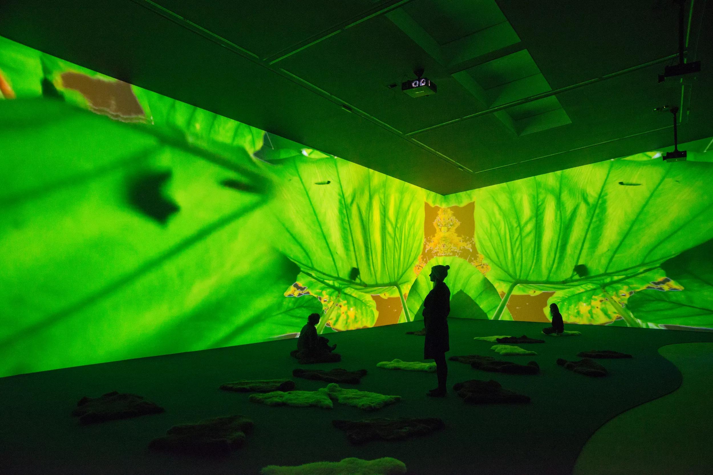 Image for exhibition 