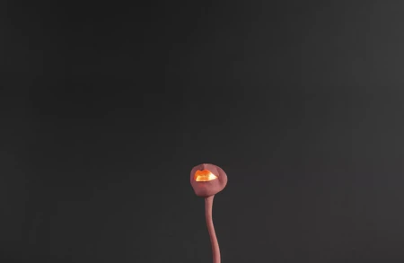 Thumbnail image for event called Opening reception: ‘To Exalt the Ephemeral: Alina Szapocznikow, 1962 – 1972’