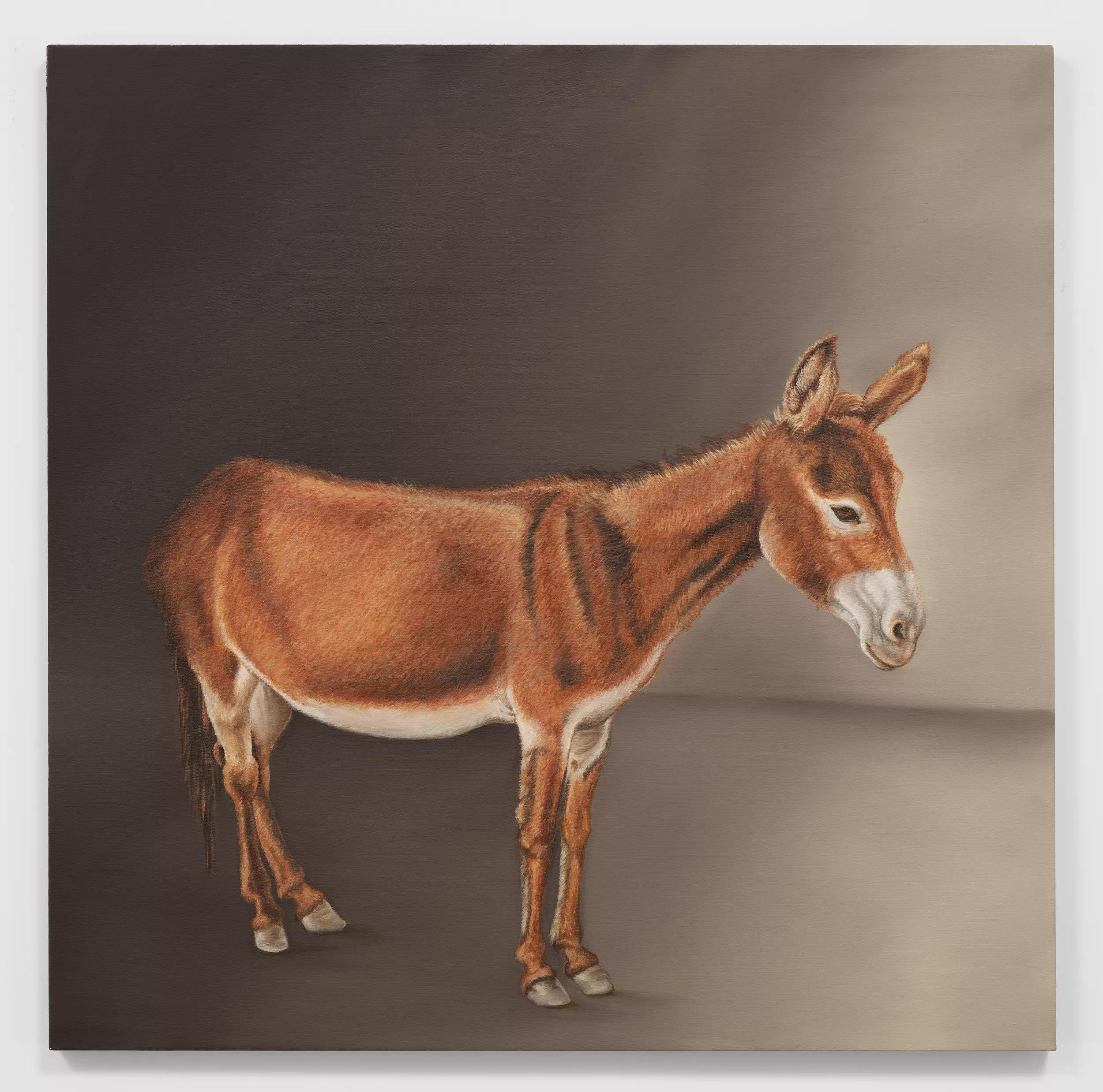 Image for exhibition 