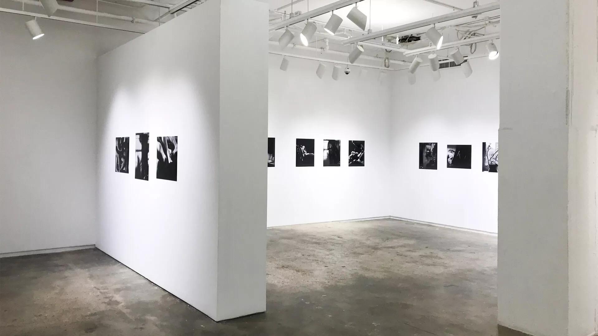 Image for exhibition 