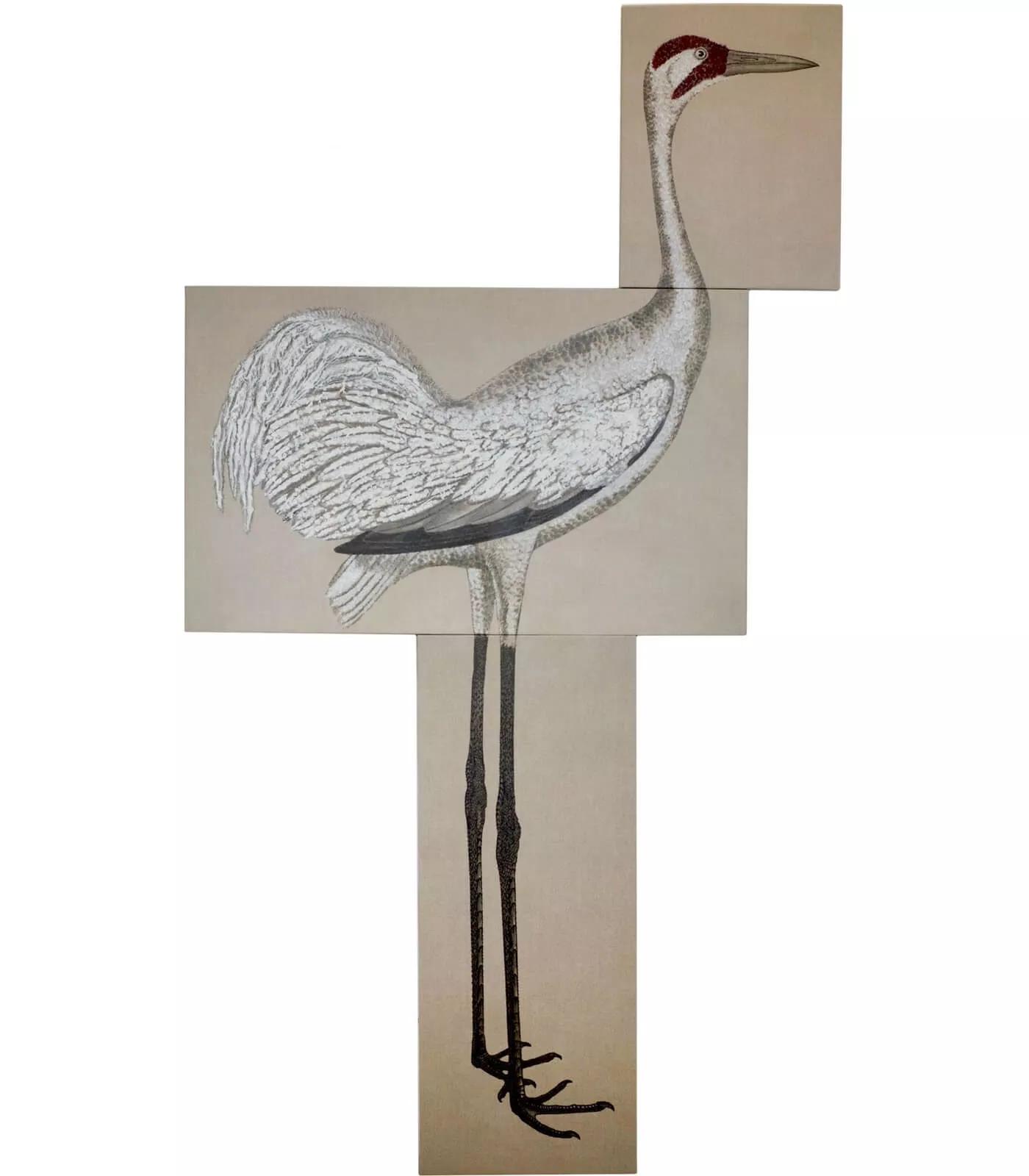 Image for exhibition titled Ida  Applebroog