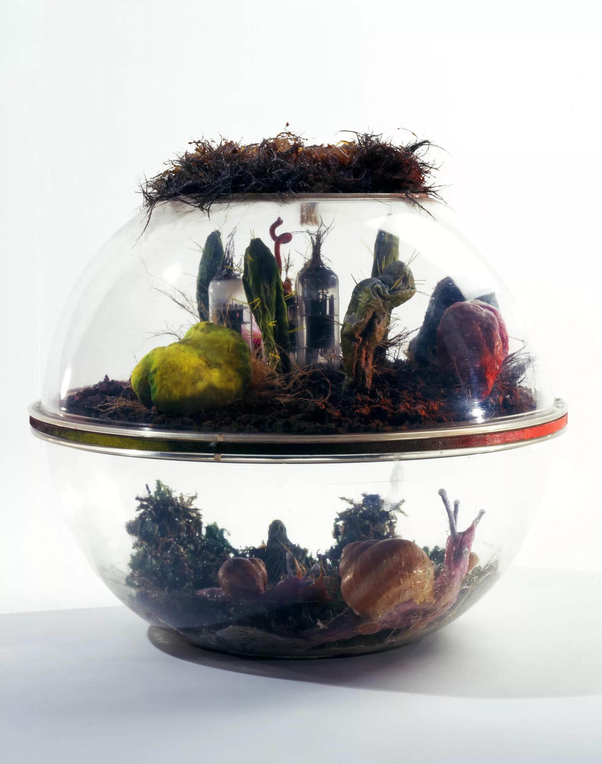 Image for exhibition 