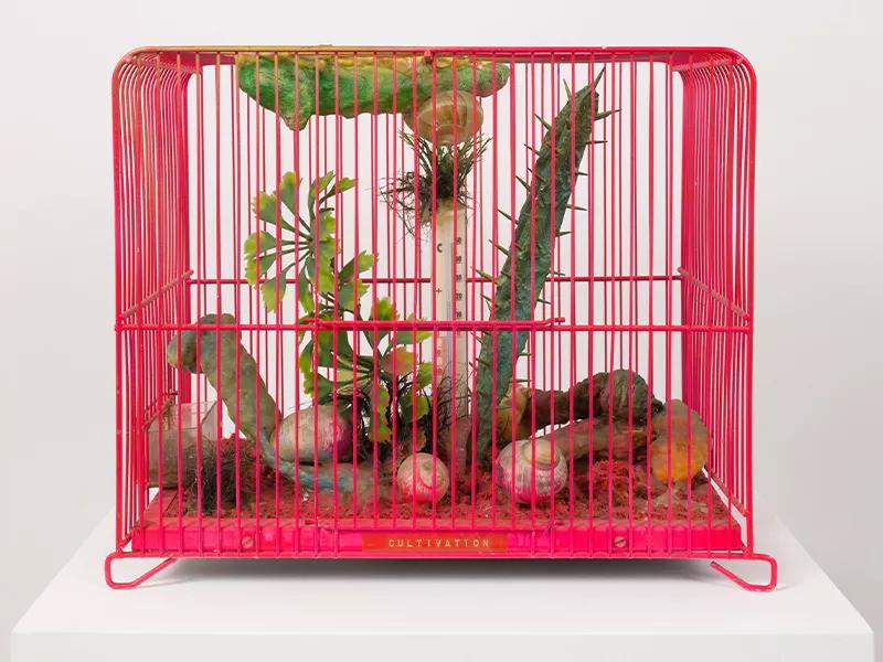Image for exhibition titled Tetsumi Kudo