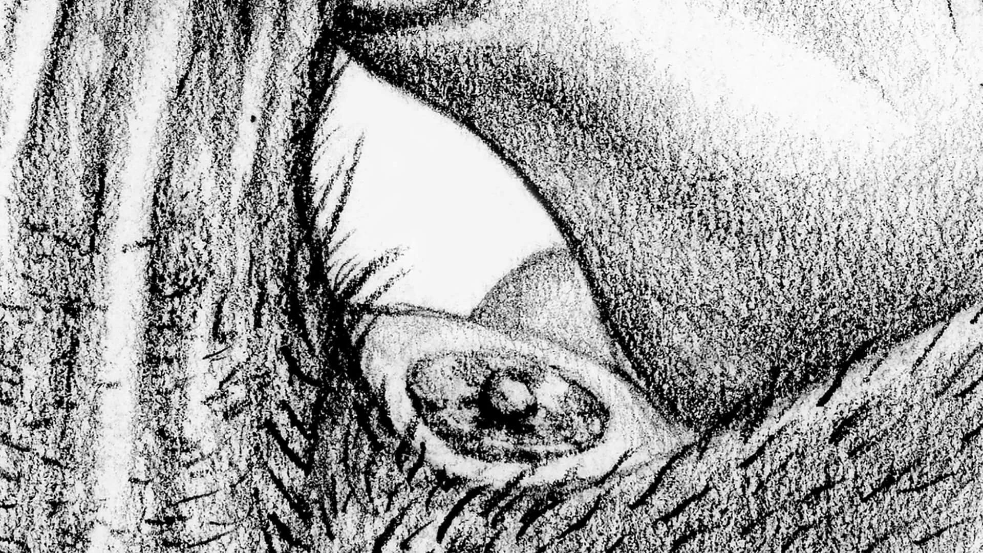 Image for exhibition 