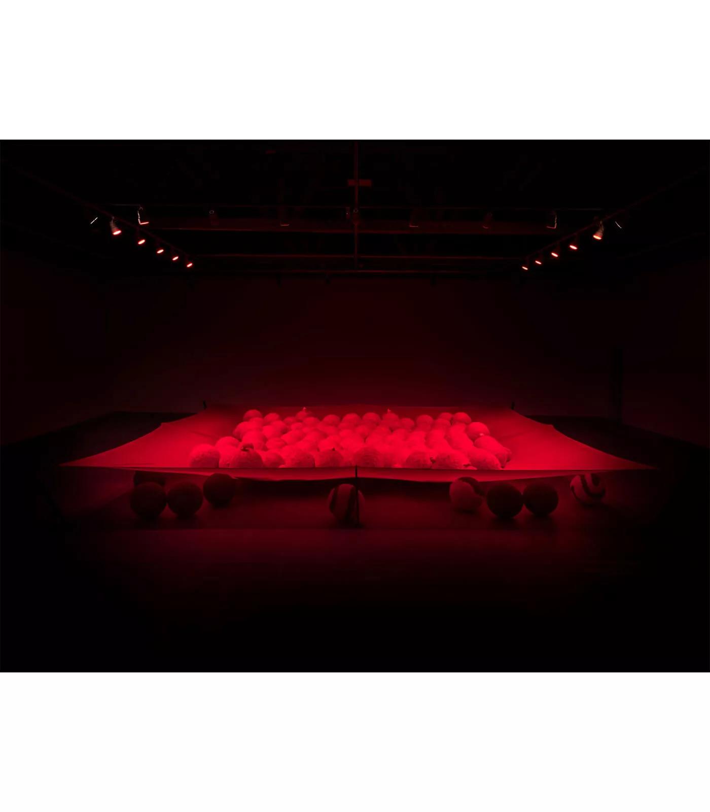 Image for exhibition 