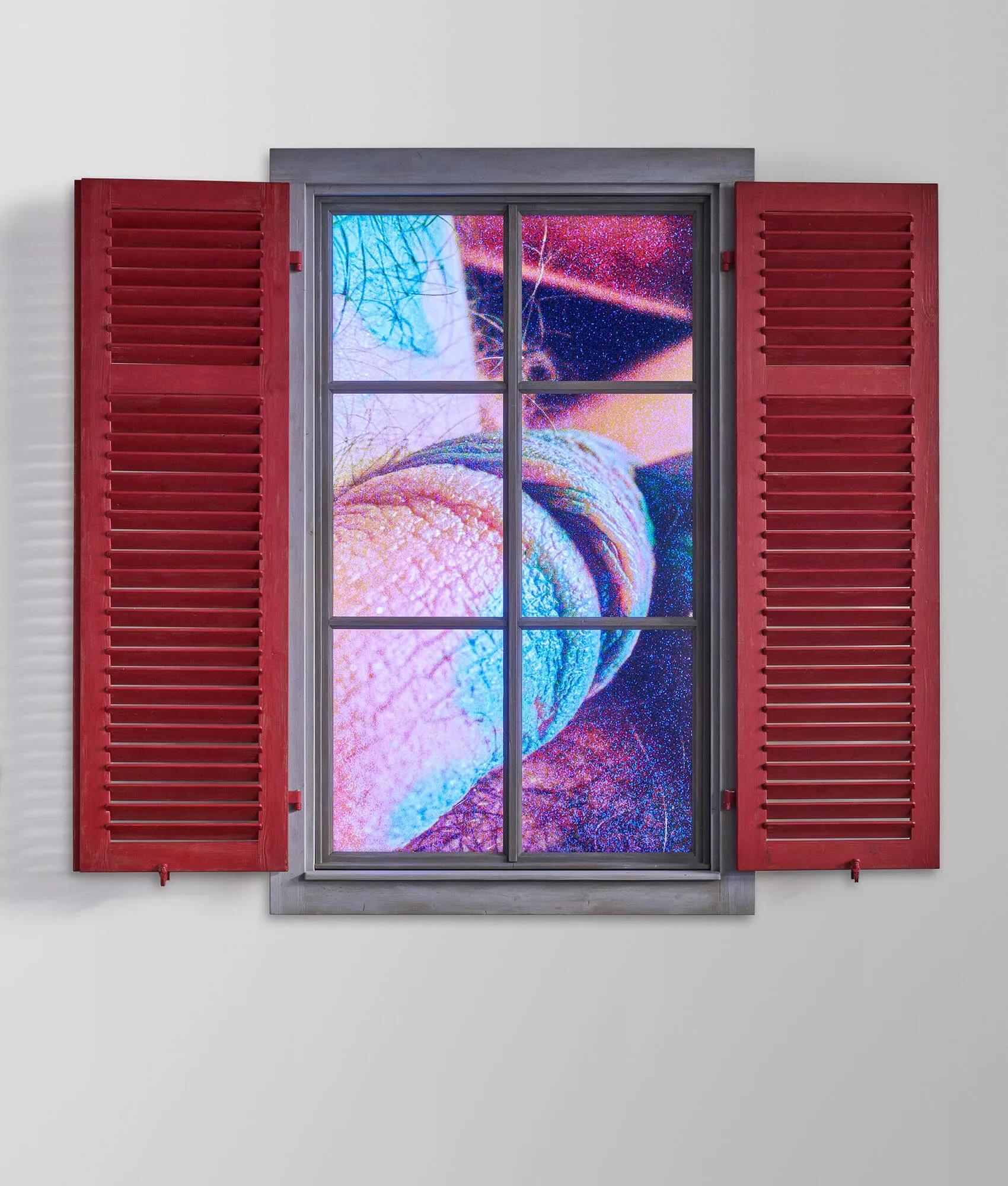 Thumbnail image for exhibition titled Peeping Freedom Shutters for Linda Malnati (Apollomat vertical screen PFS_A)
