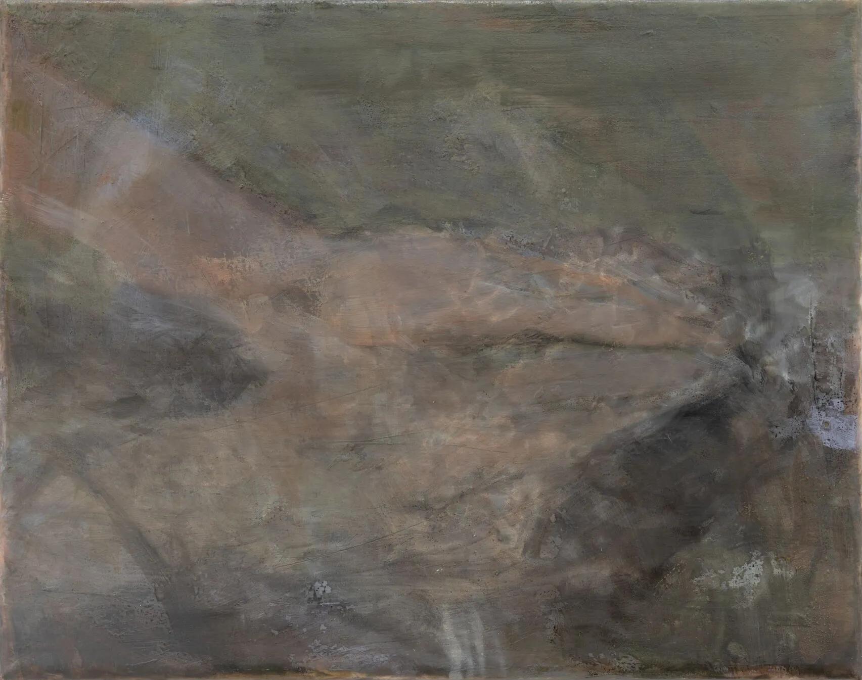 Image for exhibition titled Carlotta Amanzi