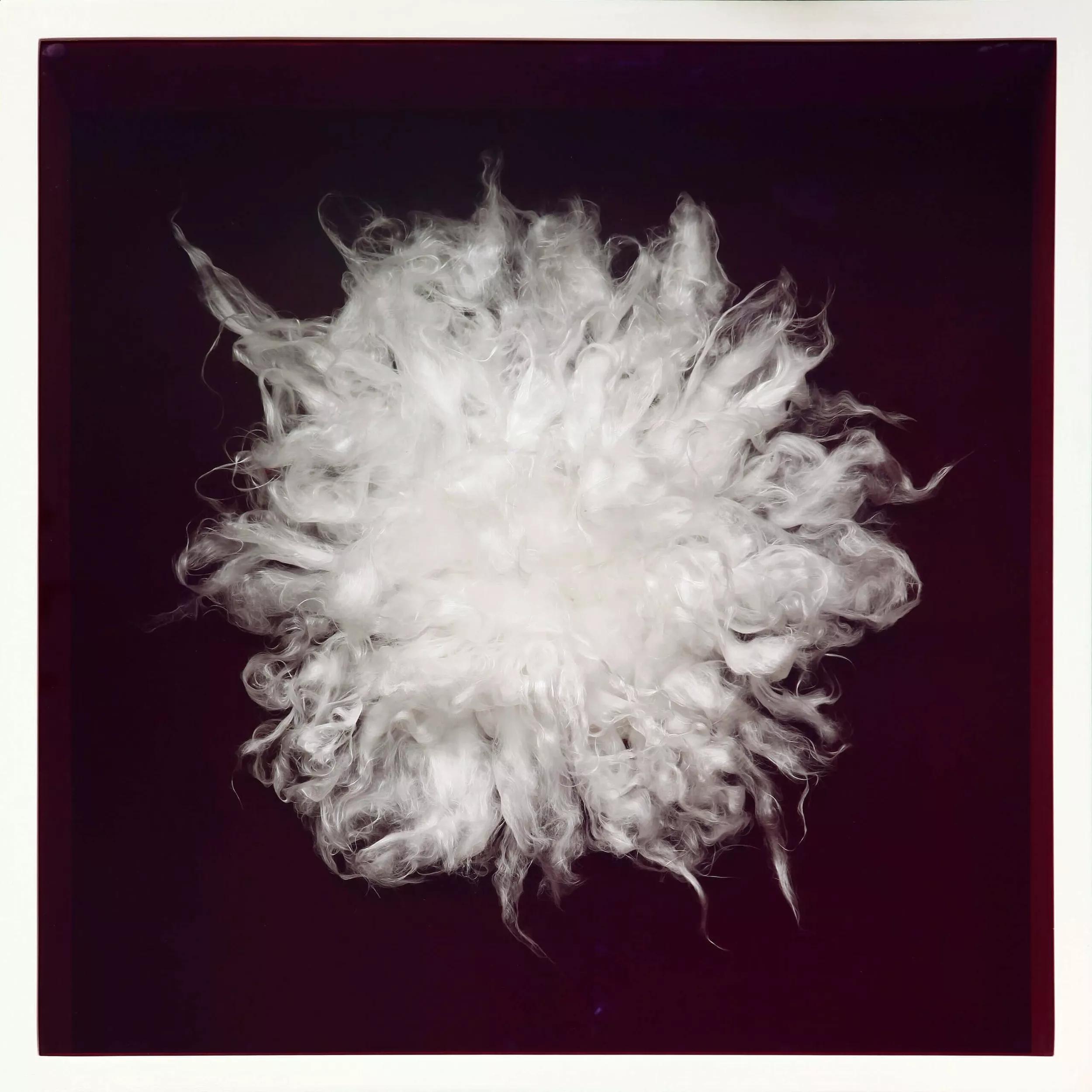 Image for exhibition titled Piero Manzoni