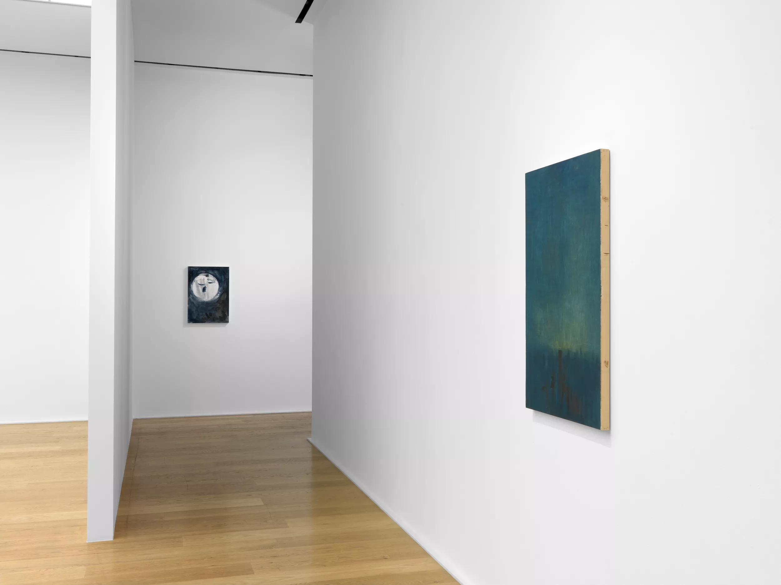 Installation view image for Installation views