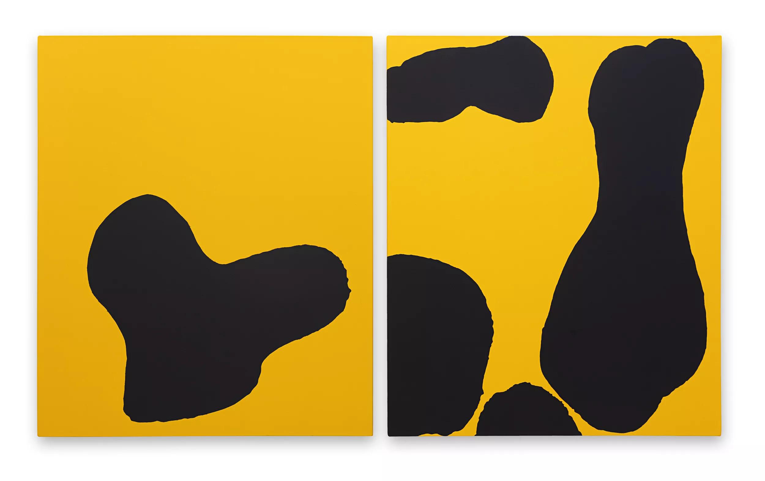 Image for exhibition titled Anna Maria Maiolino