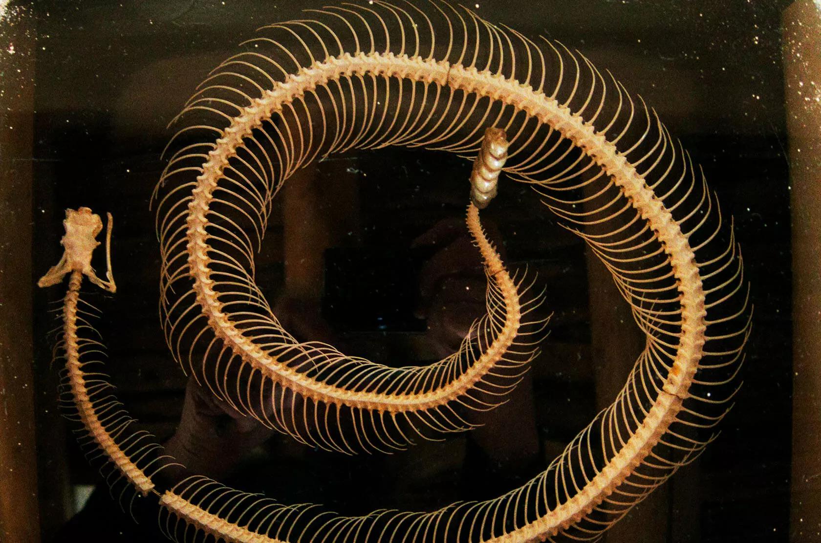 Image for exhibition 